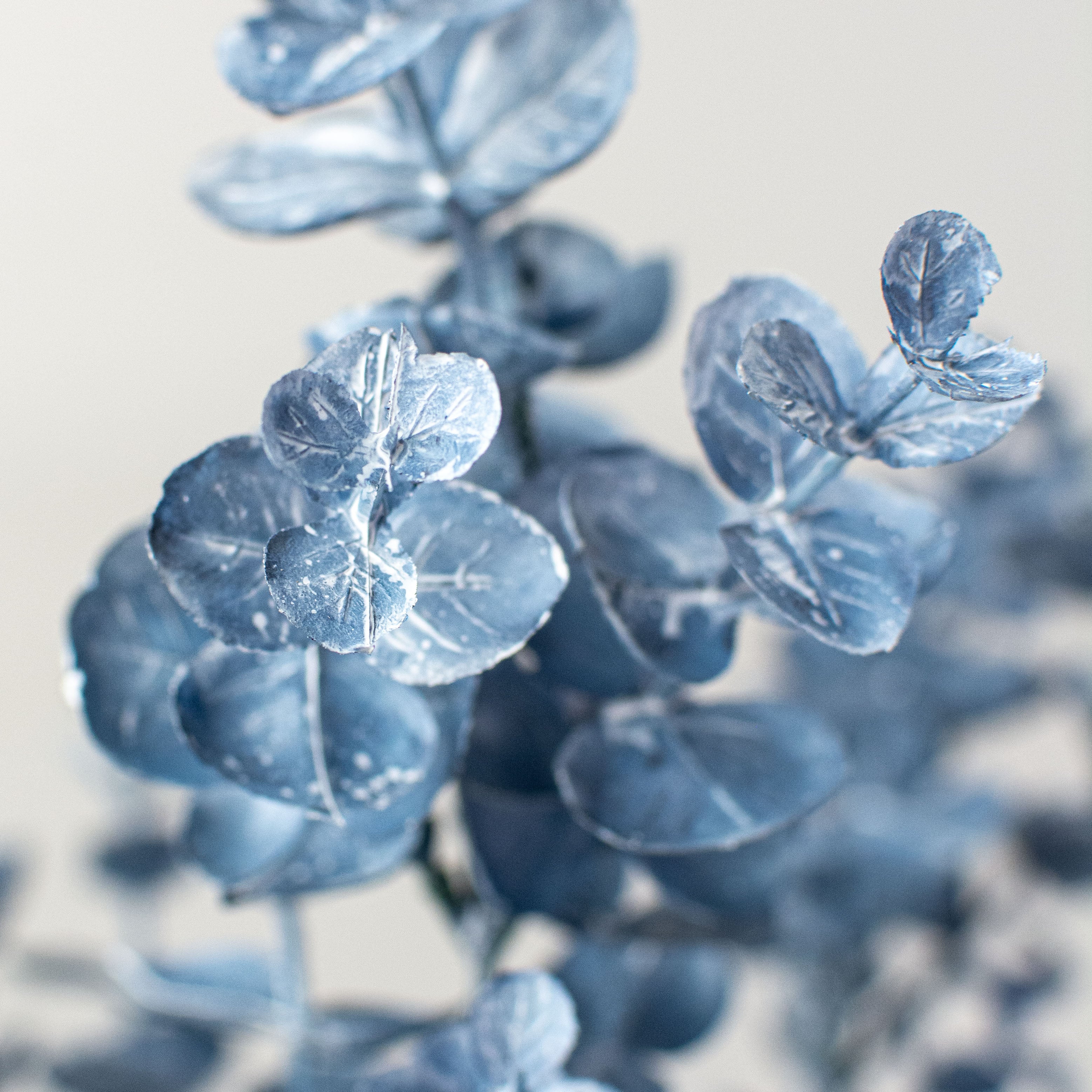 18" Eucalyptus Bush: Blue Lifestyle Photo
