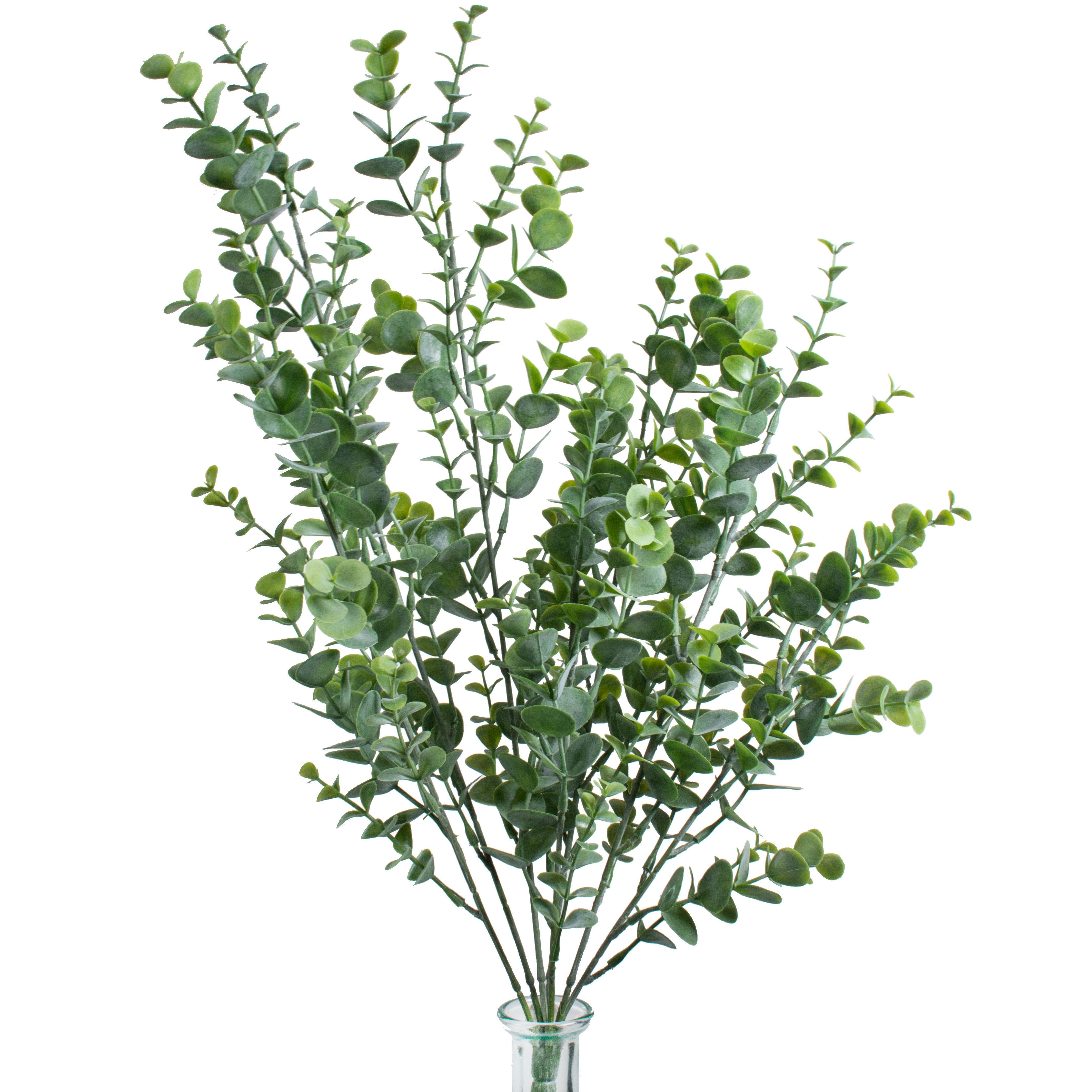 20" Eucalyptus Bush Item Number: FG533032