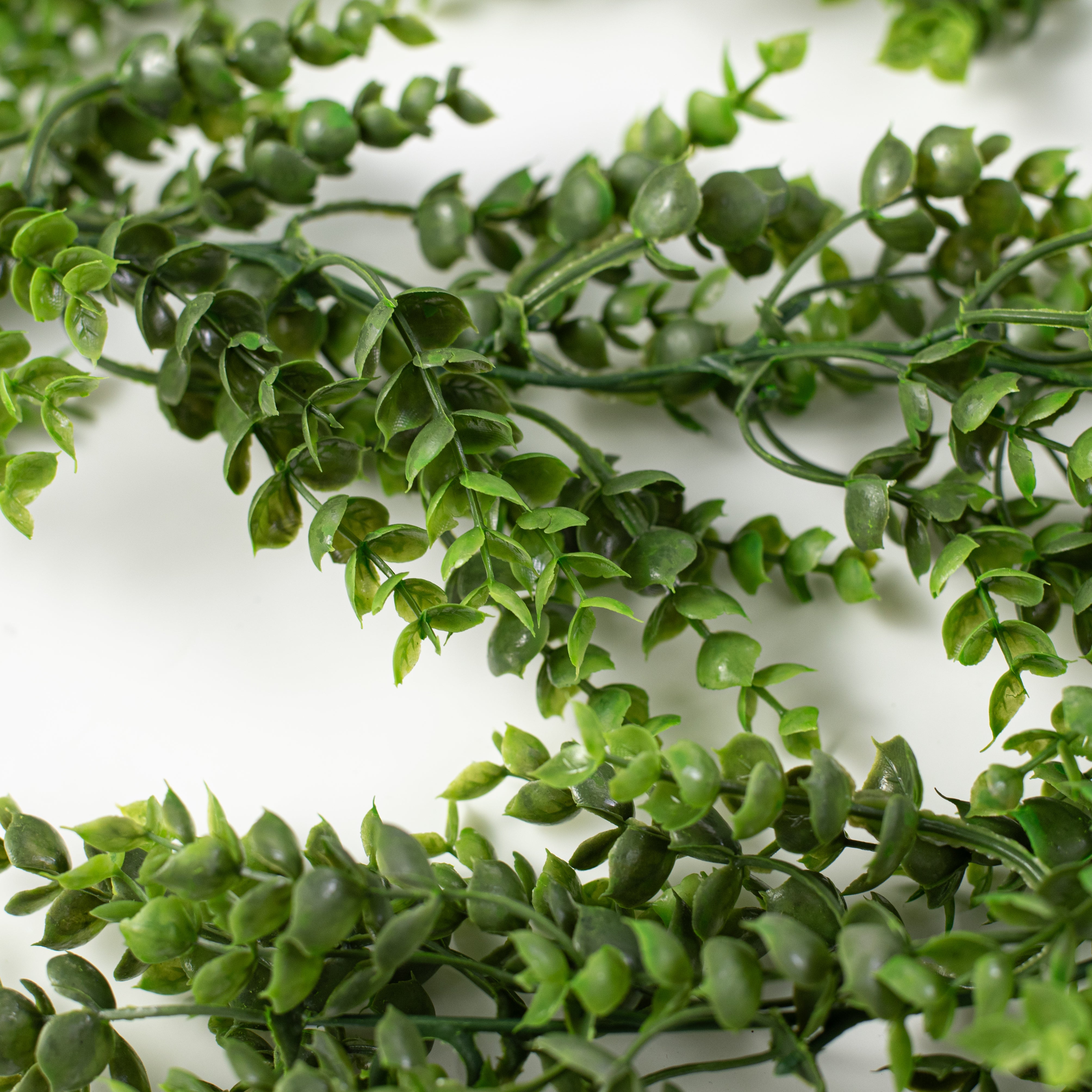 6' Eucalyptus Leaf Garland detail photo 3