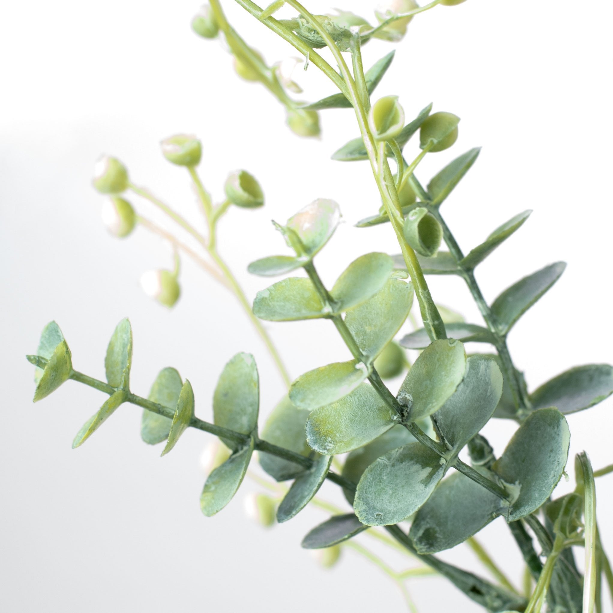 15" Eucalyptus Mix Bush detail photo 3