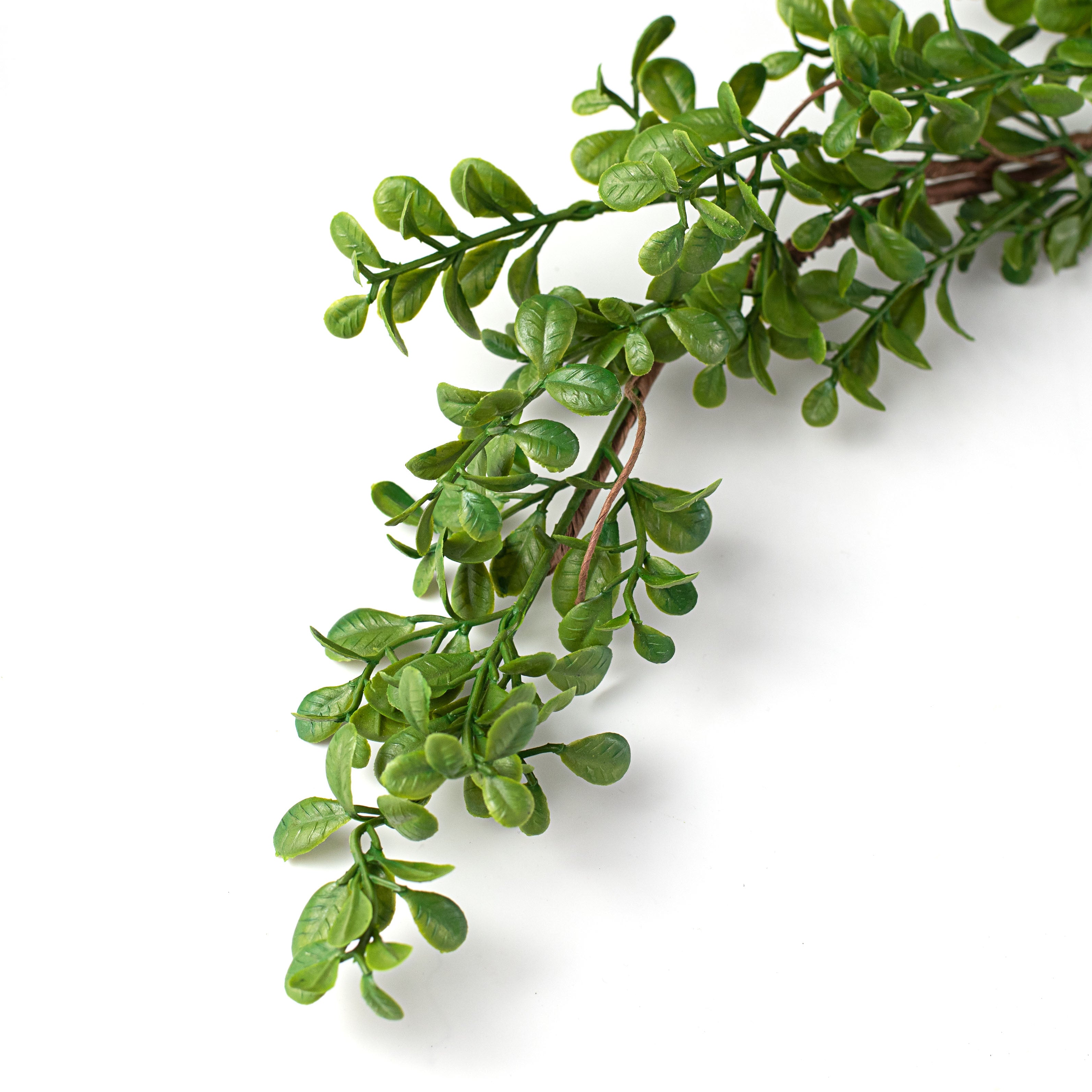 4' Evergreen Boxwood Garland detail photo 3