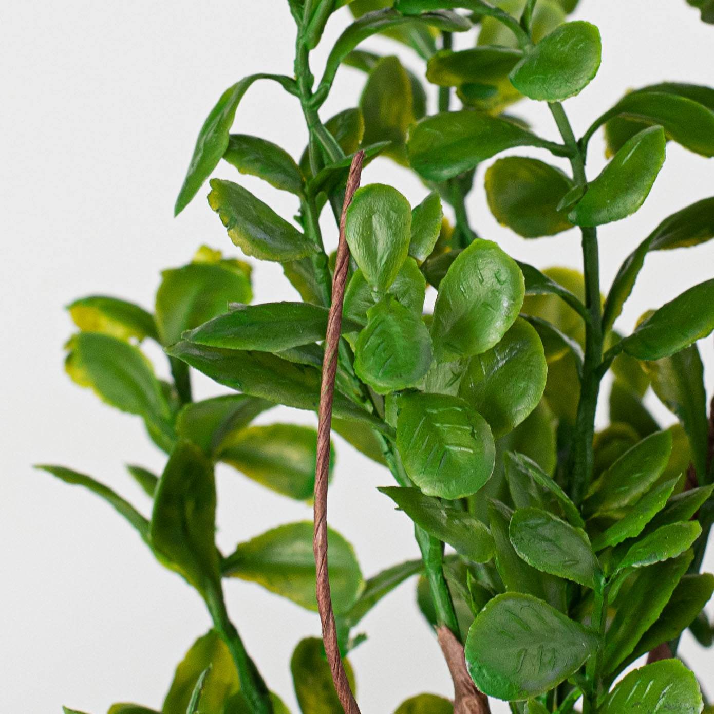 14" Evergreen Boxwood Spray Lifestyle Photo