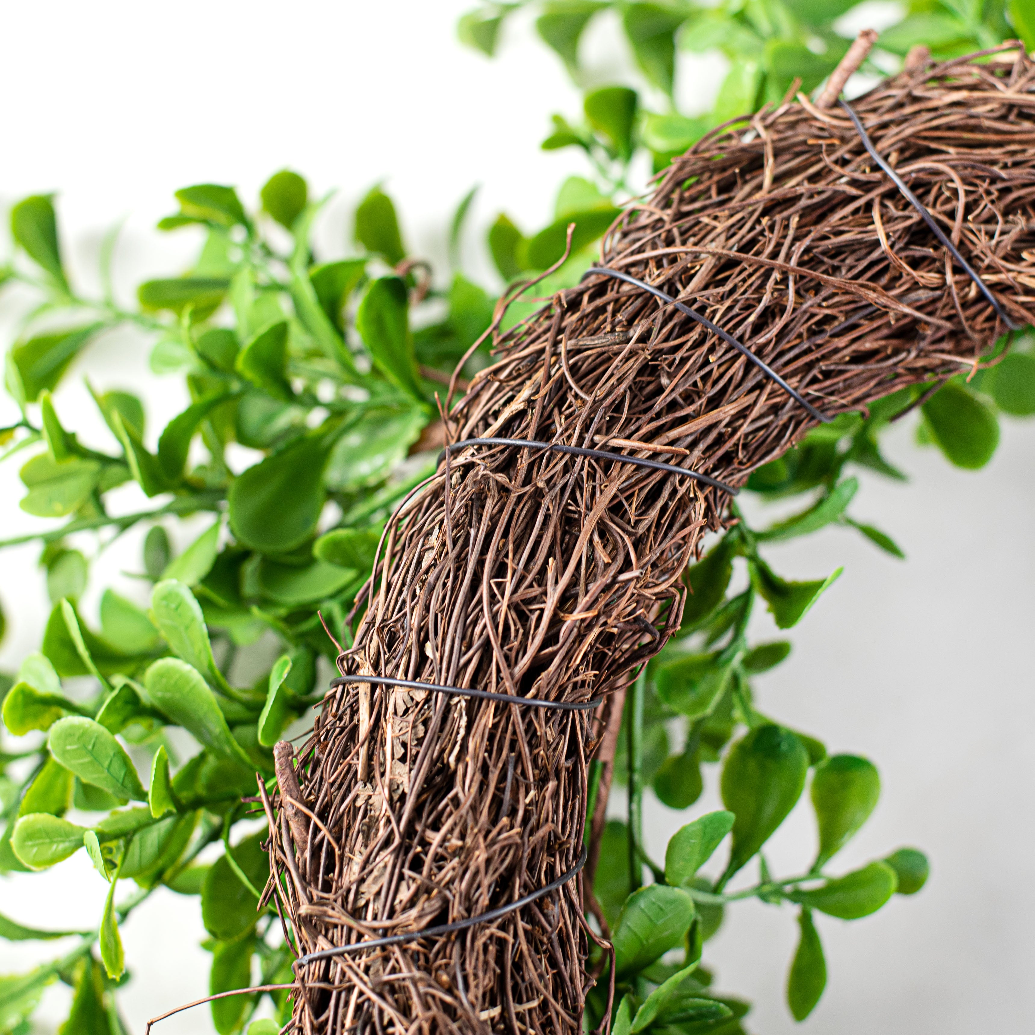 22" Evergreen Boxwood Twig Wreath detail photo 4