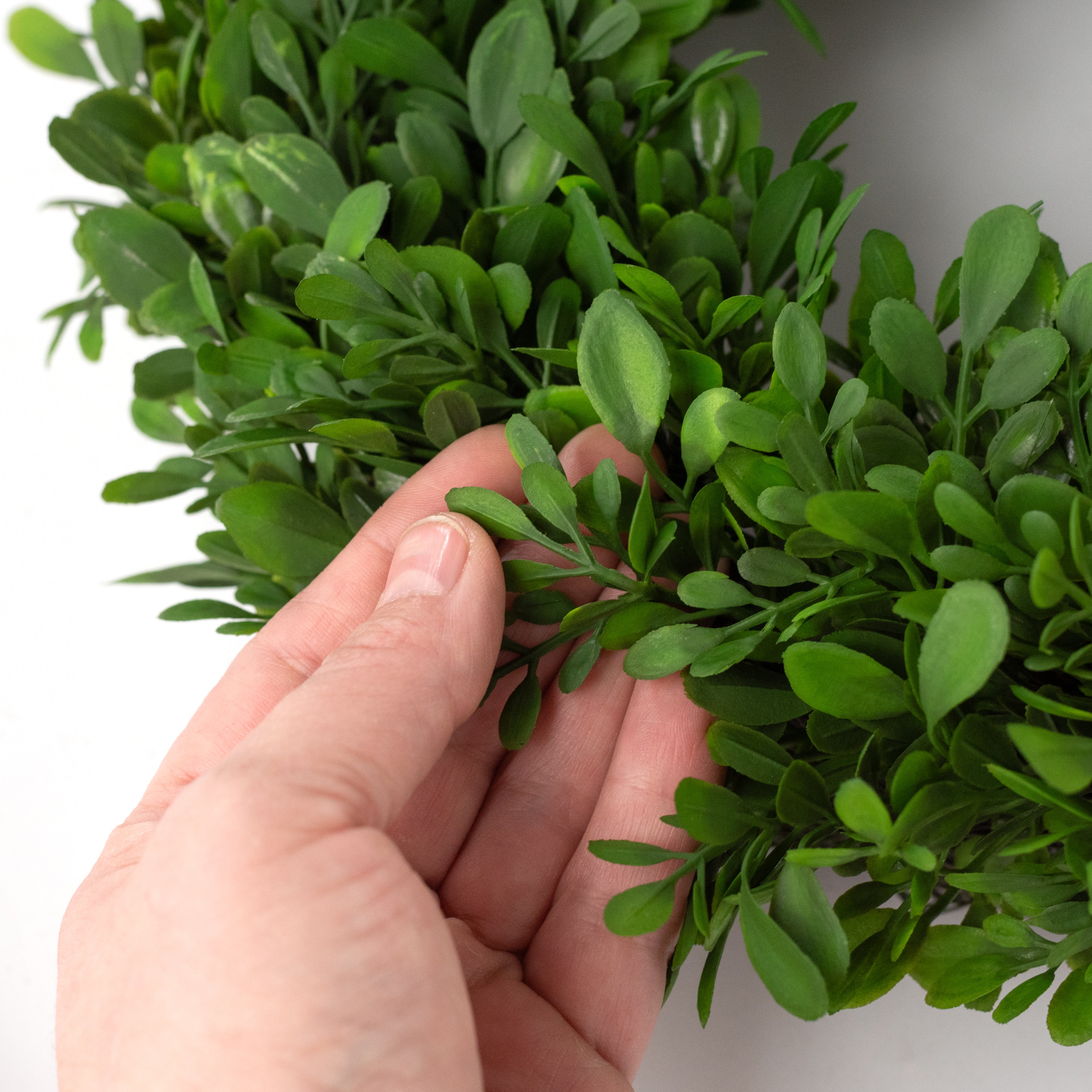12" Evergreen Boxwood Wreath on Twig Frame detail photo 5