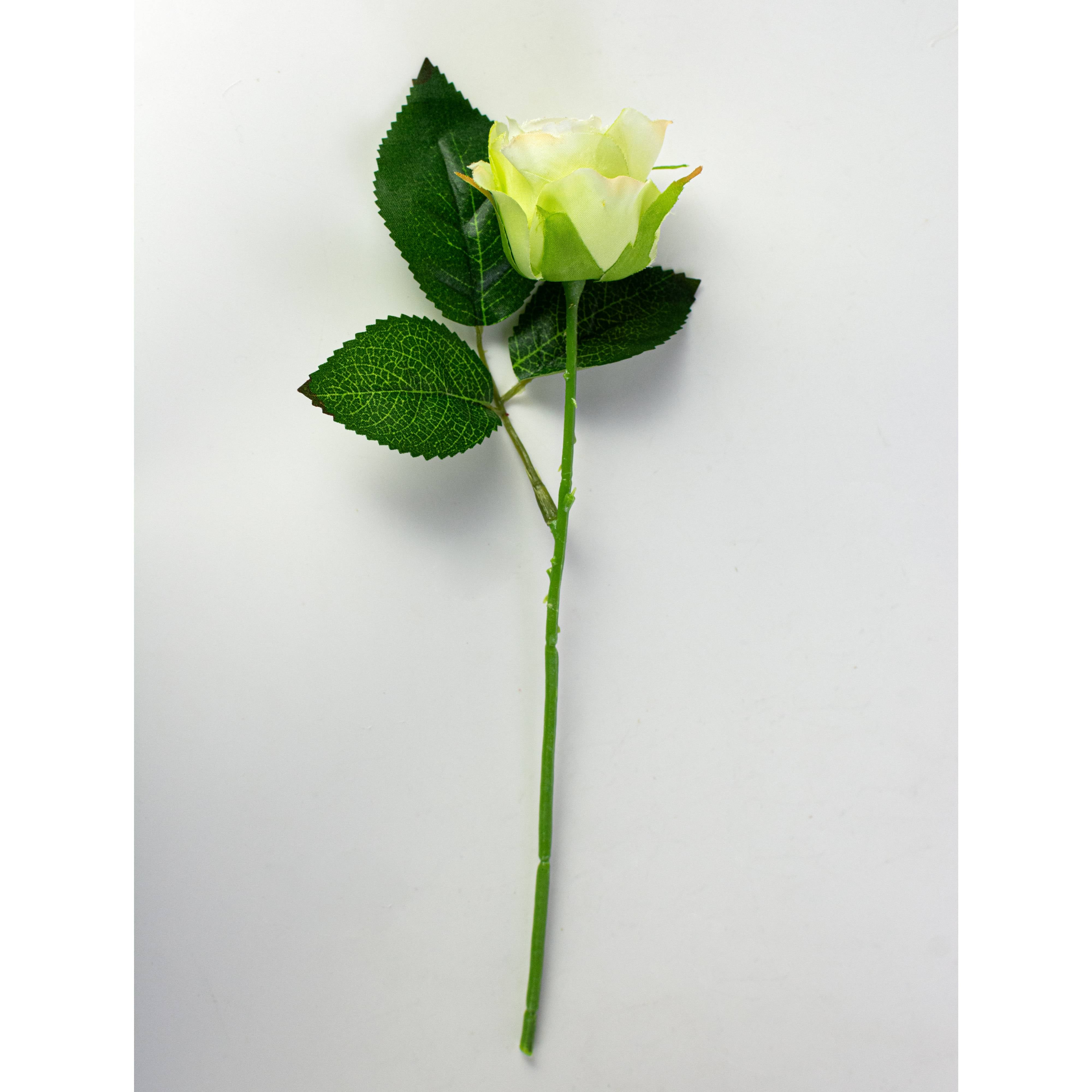 10" Melanie Rose Bouquet: Cream & Green (12 Stem)