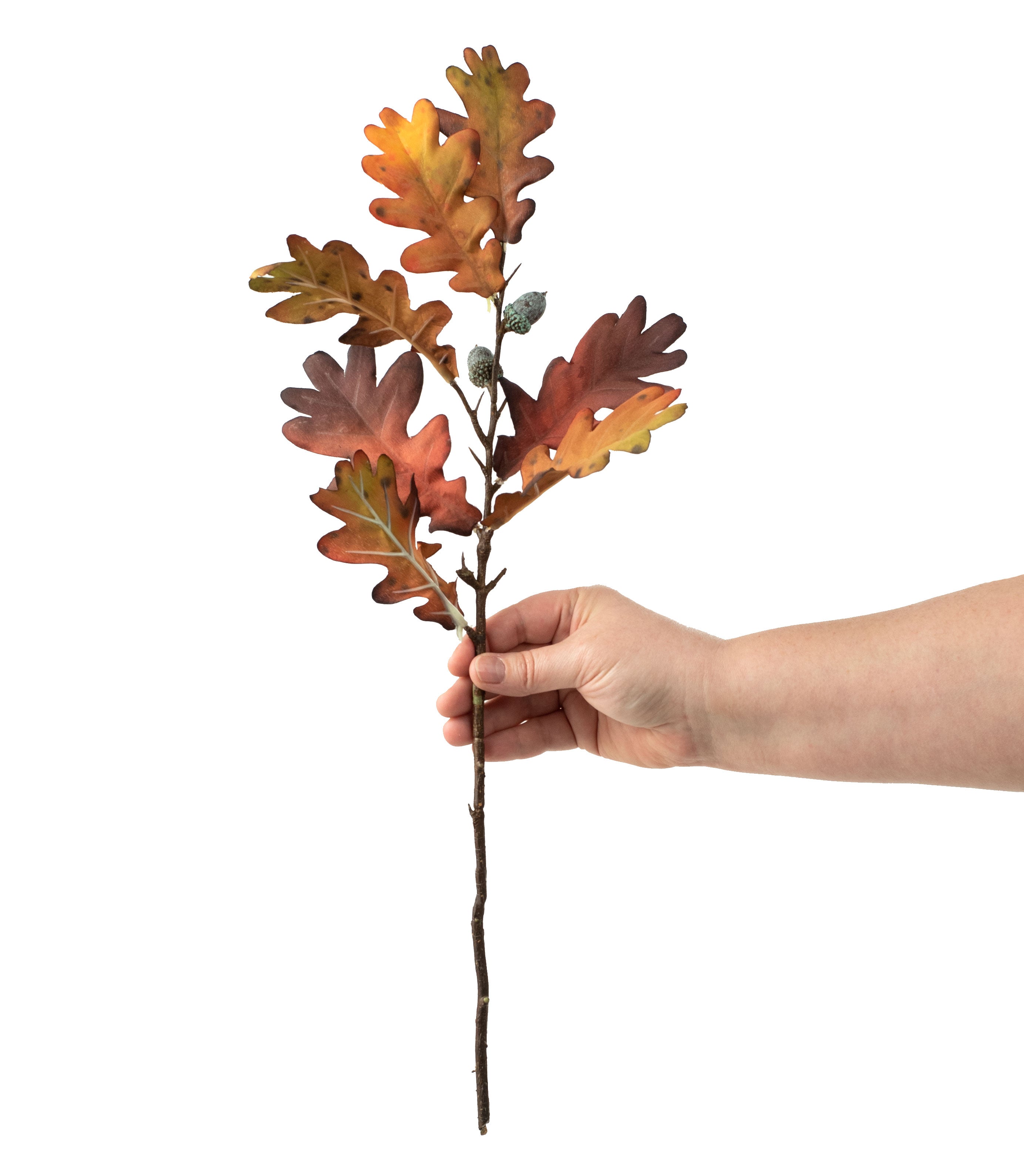 20" Fall Oak Leaves Acorn Spray: Brown detail photo 3