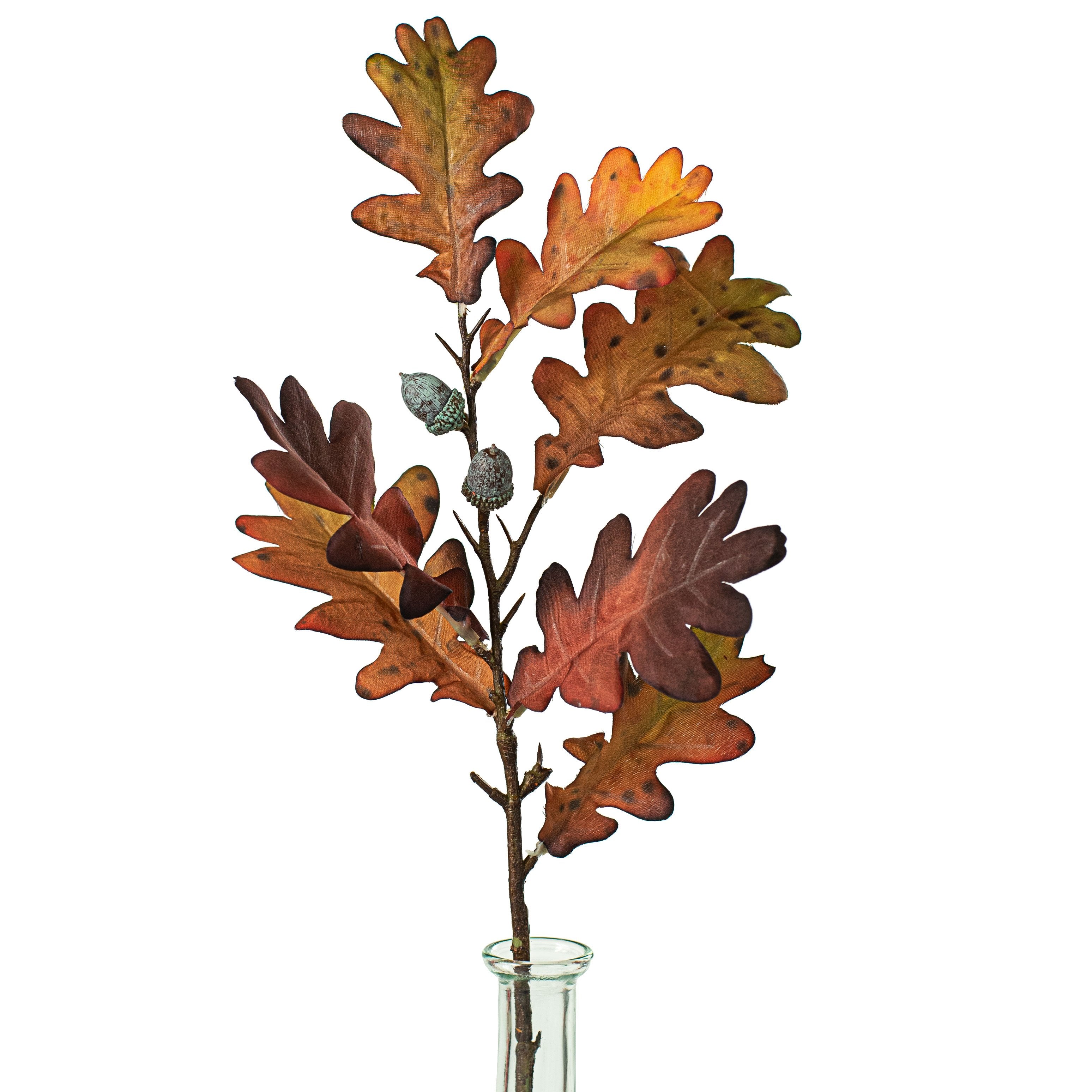 20" Fall Oak Leaves Acorn Spray: Brown Item Number: 2751058BR