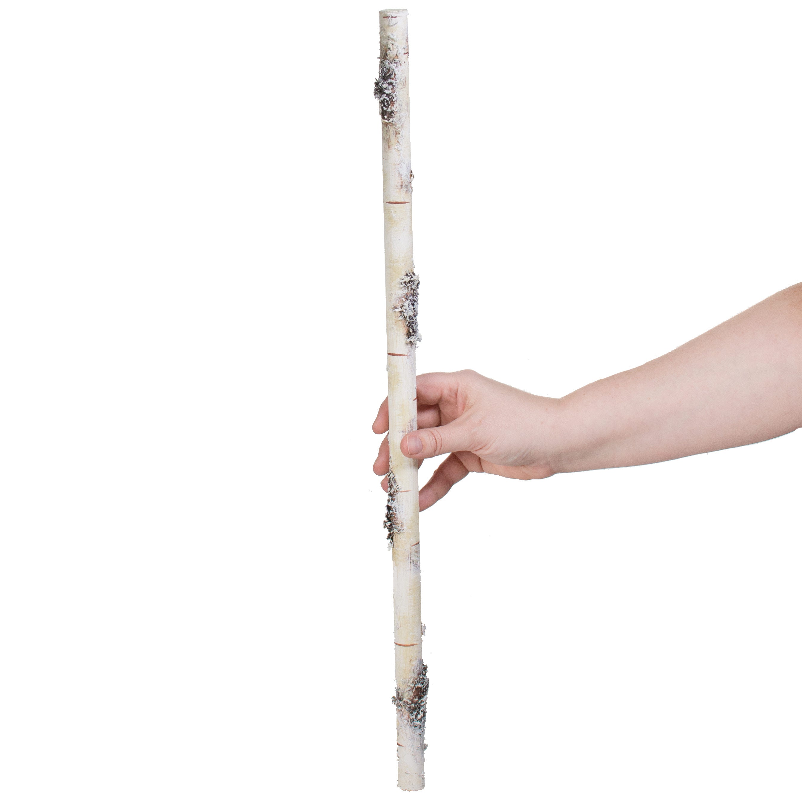 22.5" Faux Birch Stick Lifestyle Photo