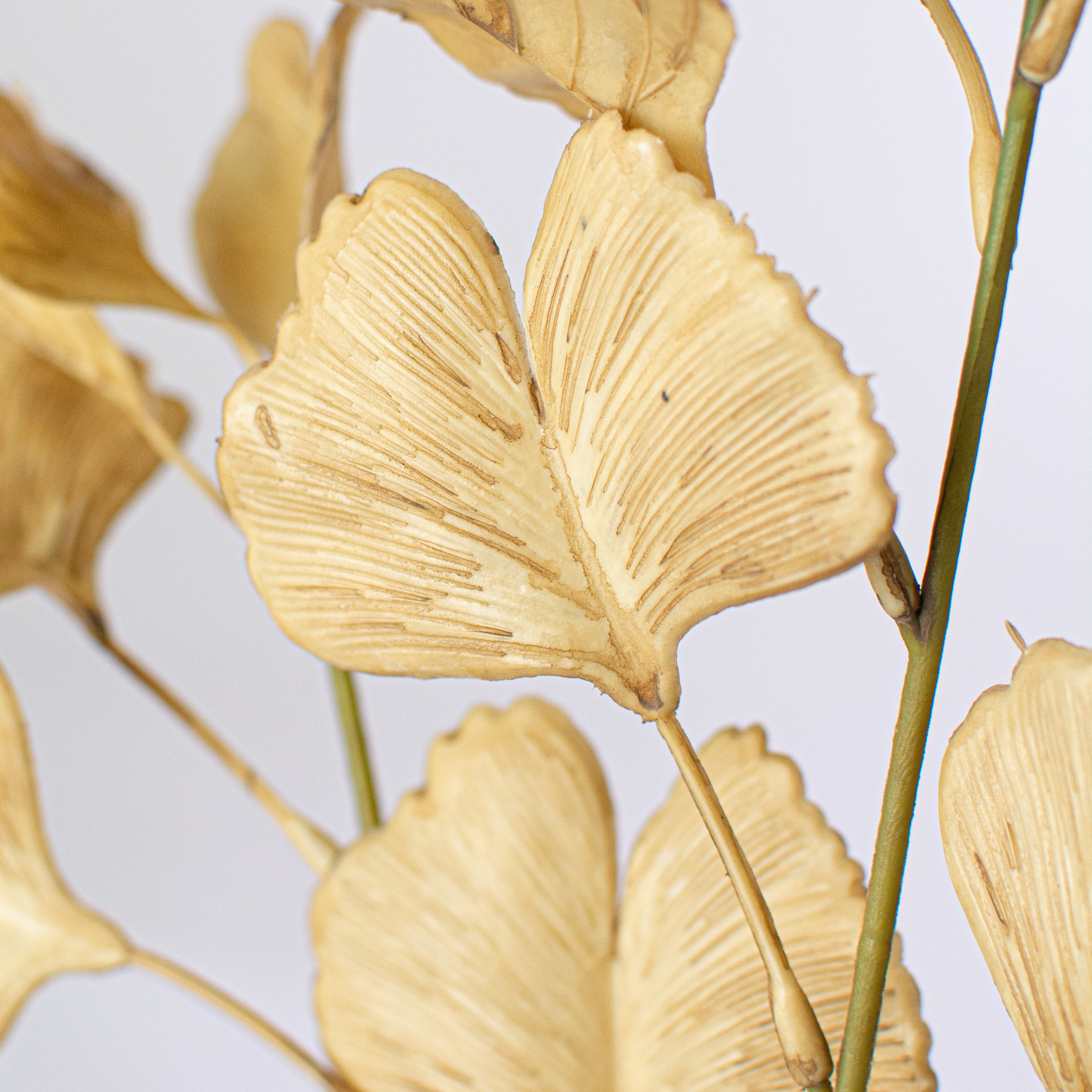 24" Faux Dried Ginkgo Leaf Spray: Beige Lifestyle Photo