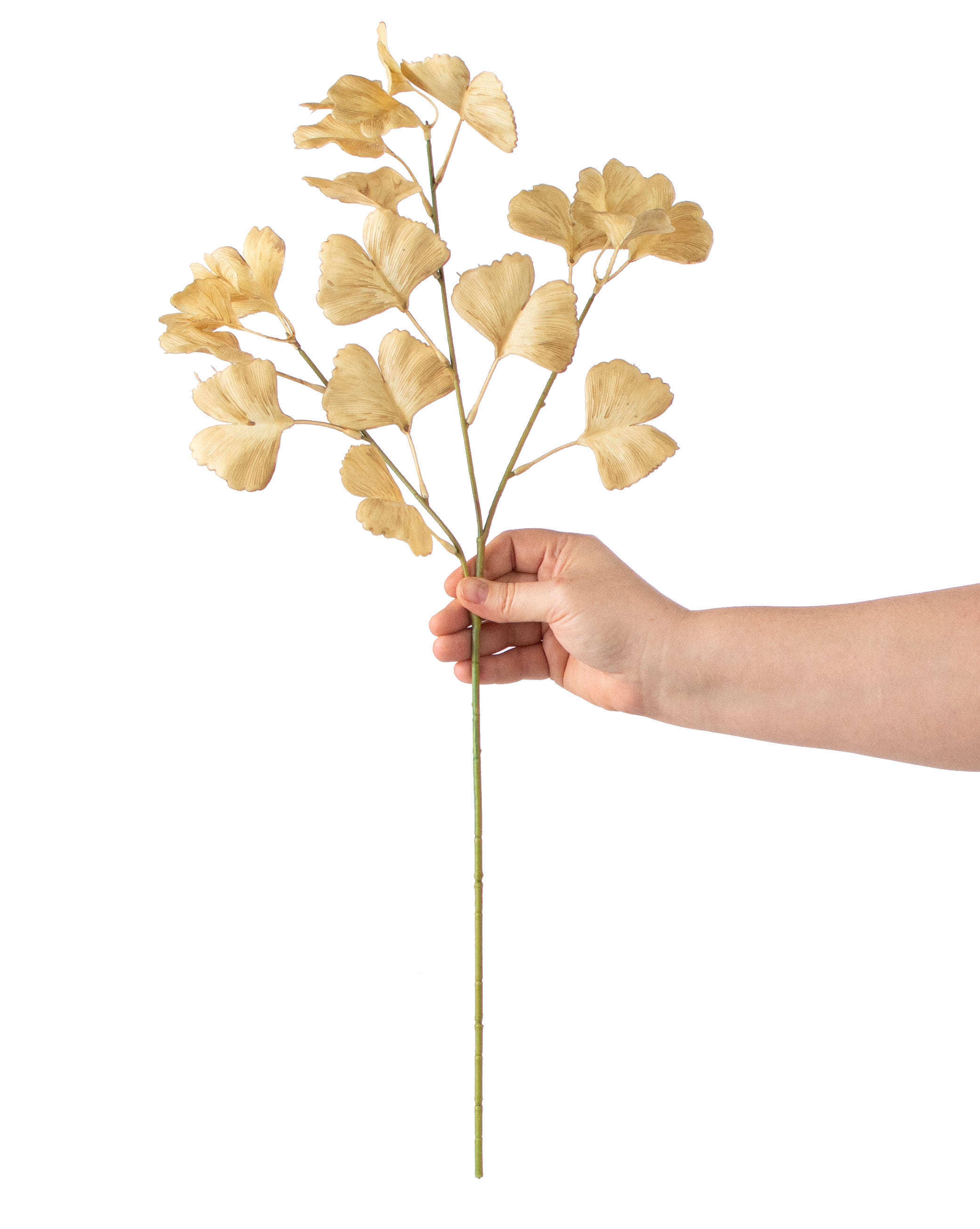 24" Faux Dried Ginkgo Leaf Spray: Beige detail photo 3