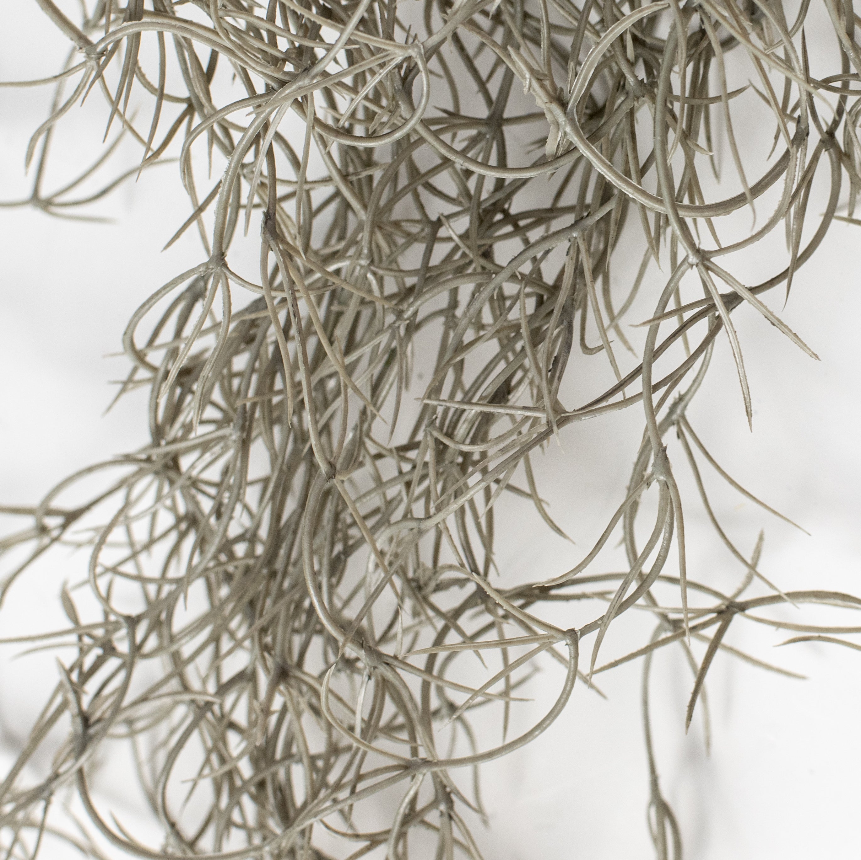 51" Faux Spanish Moss Hanging Spray: Grey Lifestyle Photo