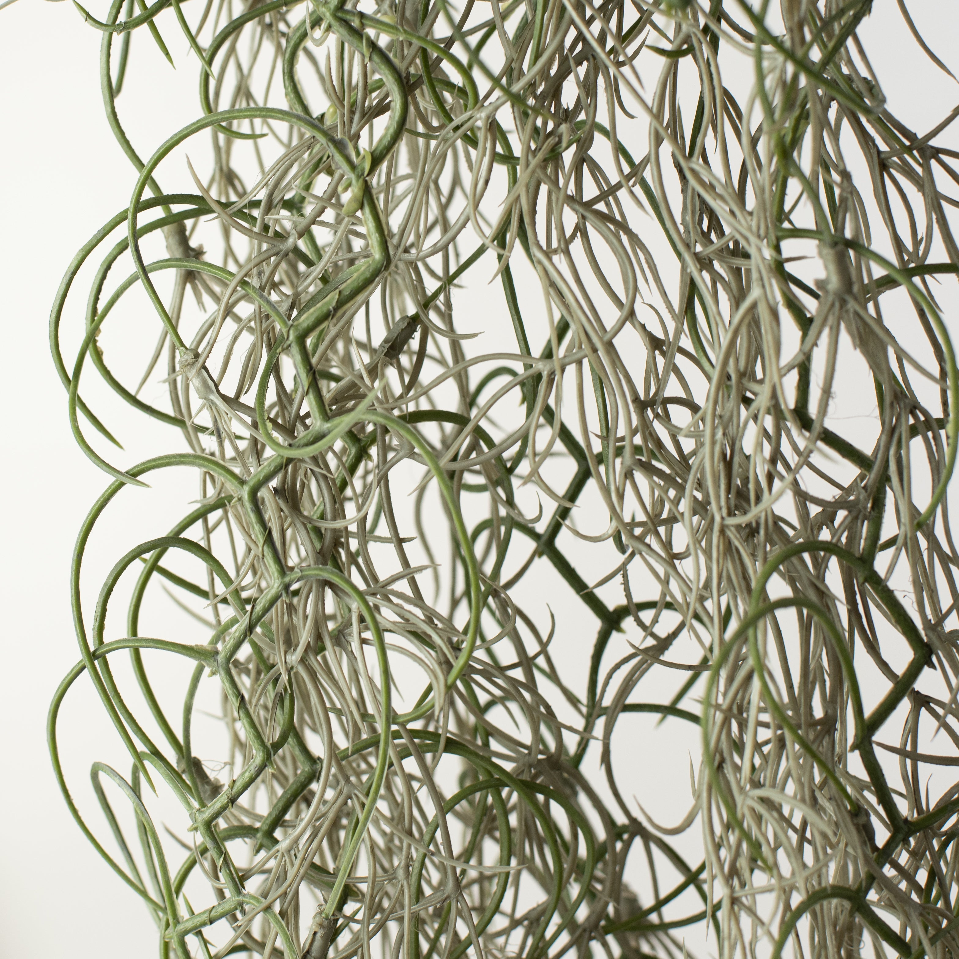 51" Faux Spanish Moss Hanging Spray: Grey detail photo 4