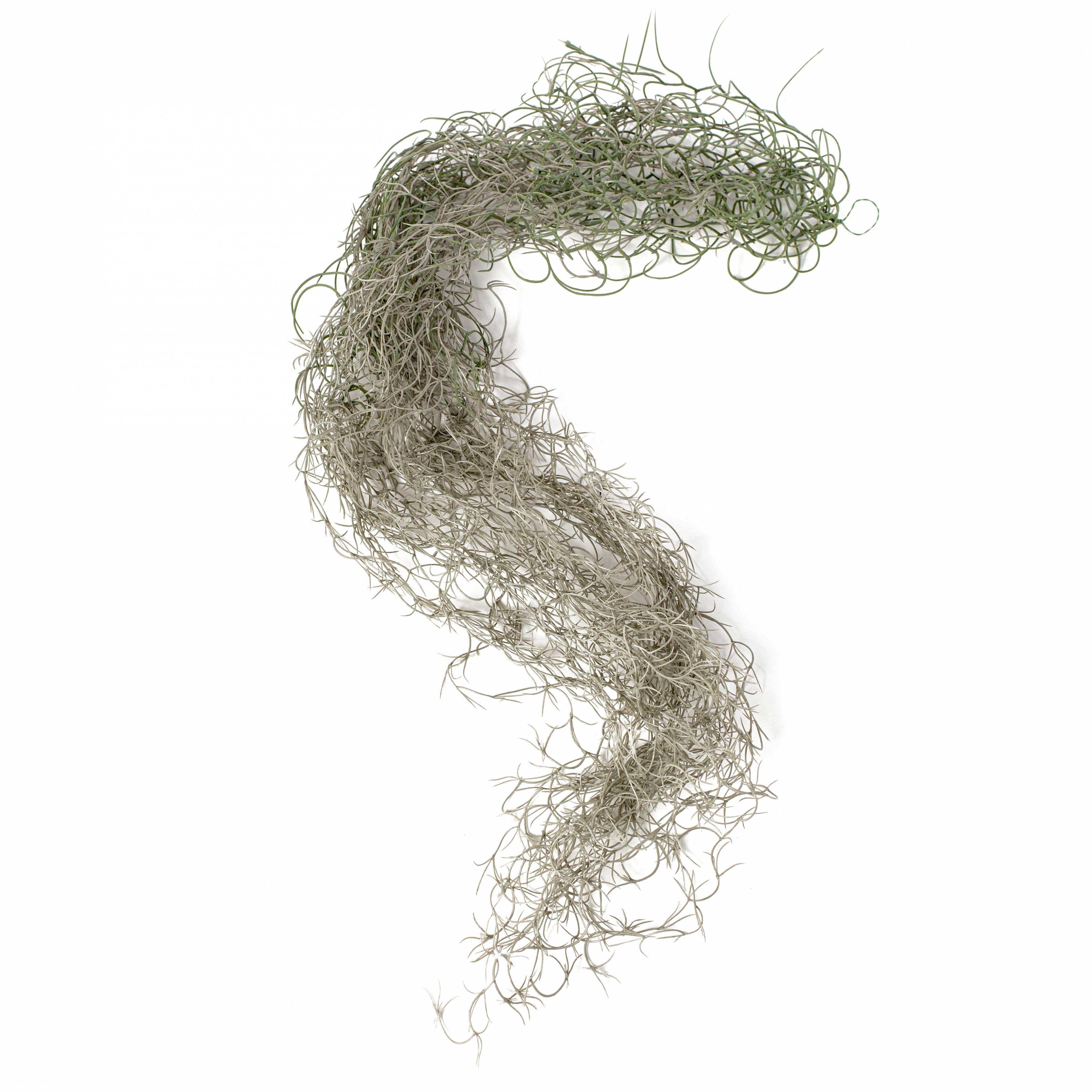 51" Faux Spanish Moss Hanging Spray: Grey Item Number: PF173610