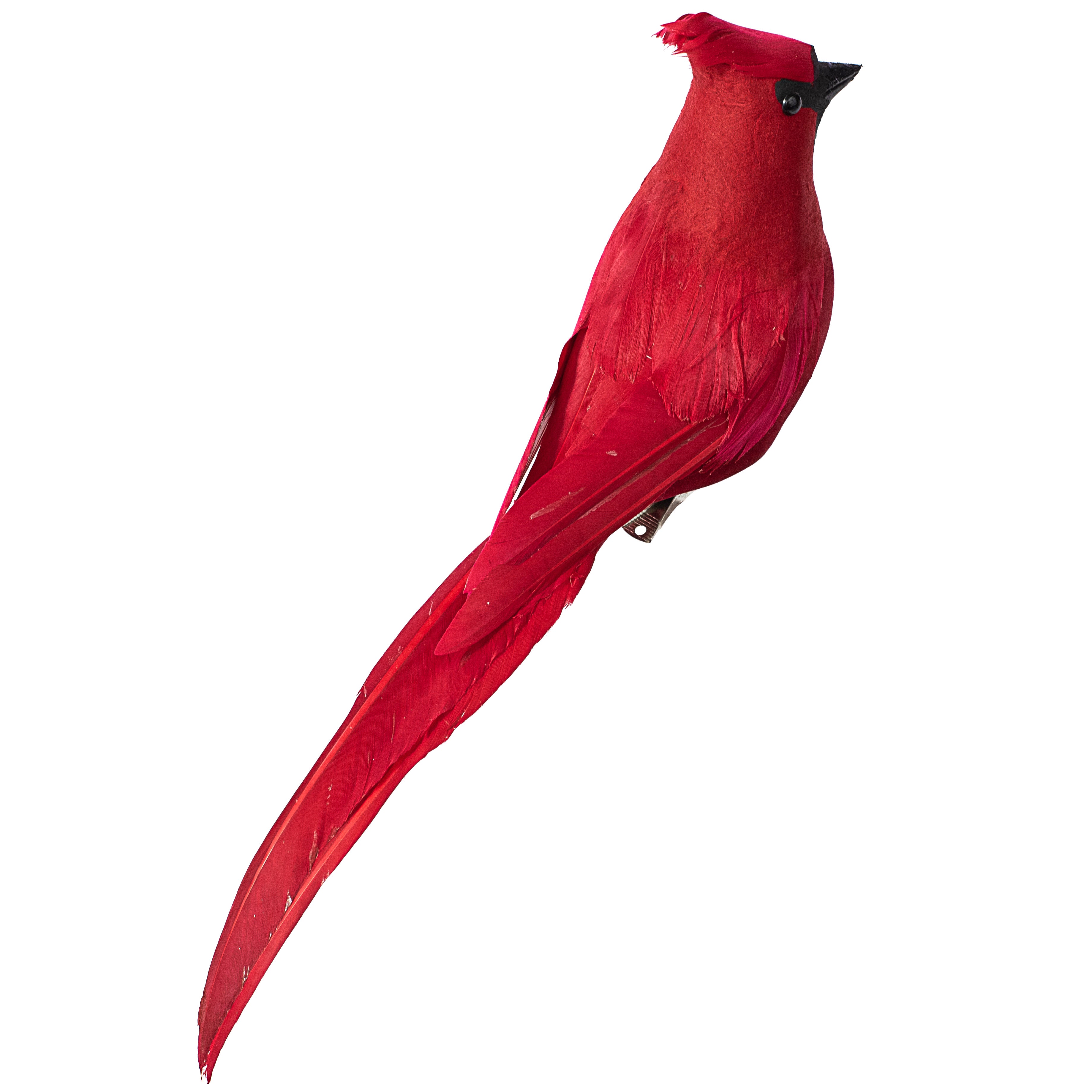 12" Feather Cardinal with Clip detail photo 4