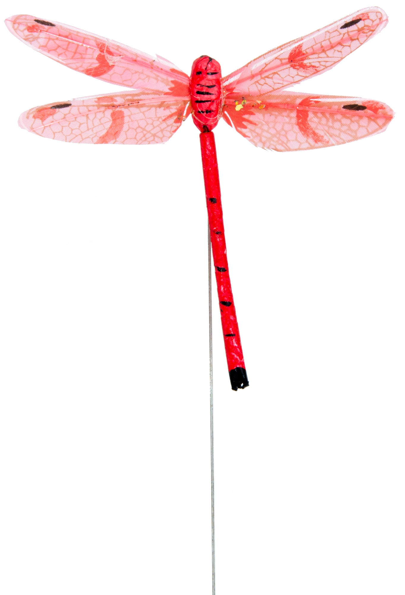 4.25" Feather Dragonfly Pick: Pastel Assortment (12) Lifestyle Photo
