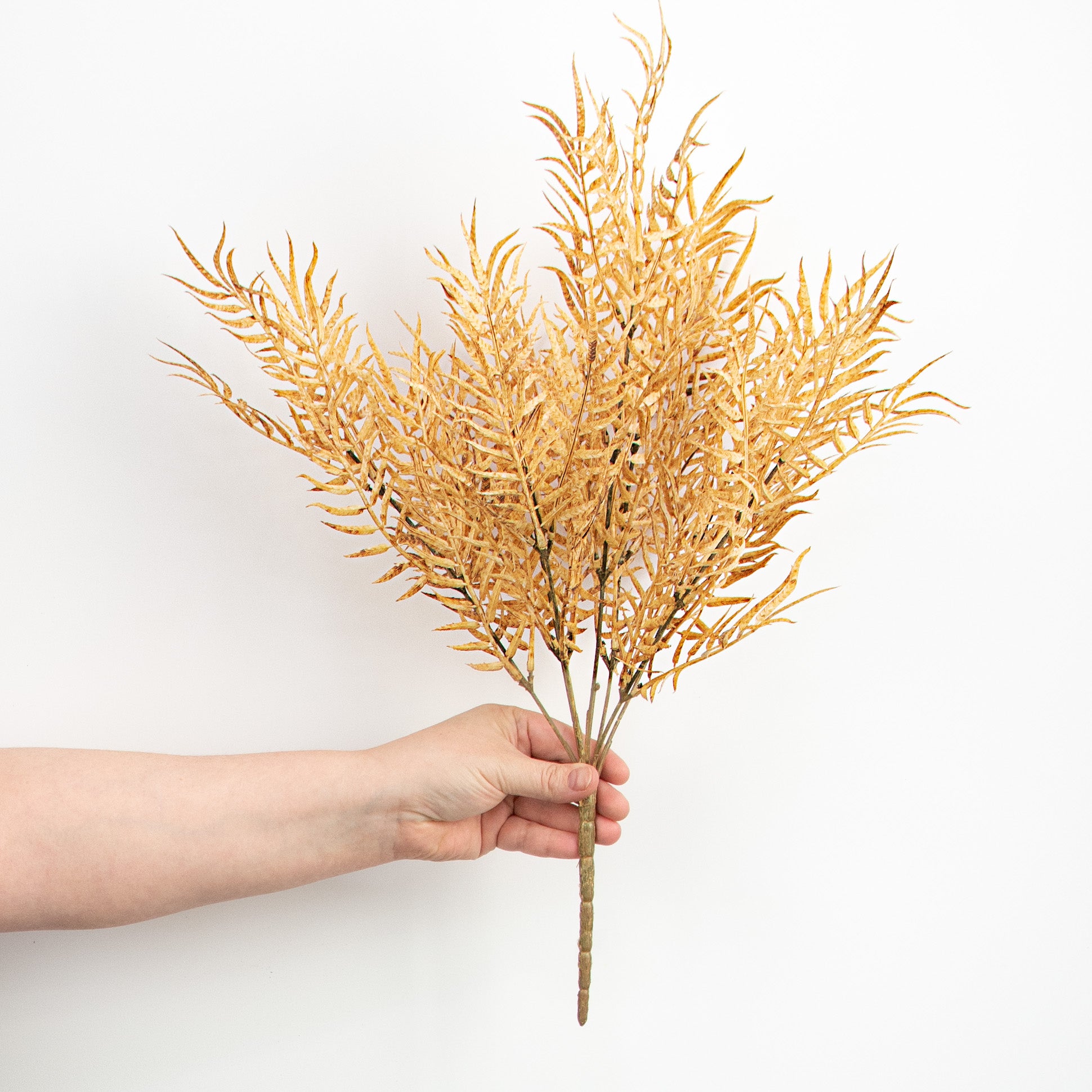 21" Fern Bush: Beige detail photo 3