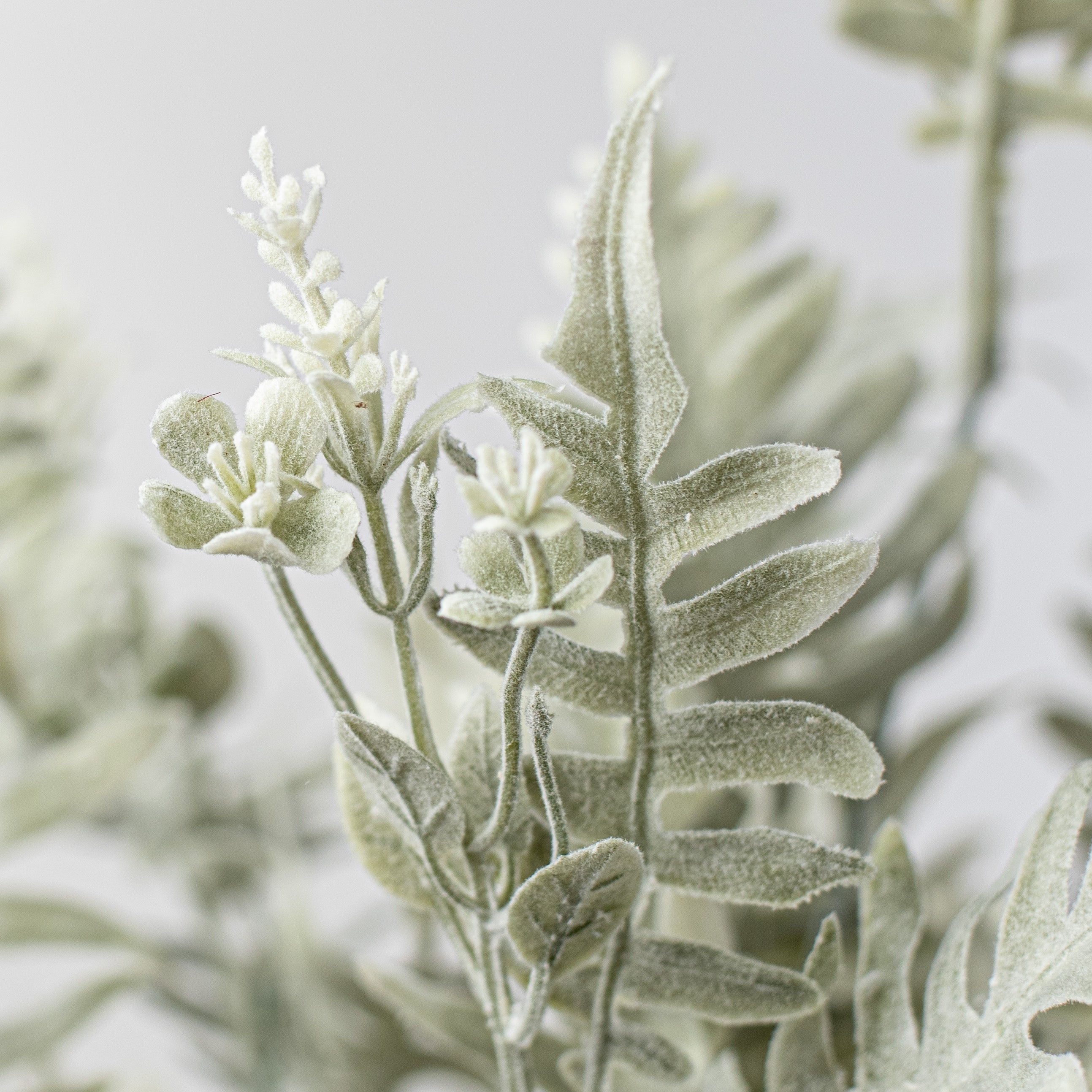 21" Fern Bush: Dusty Sage Lifestyle Photo