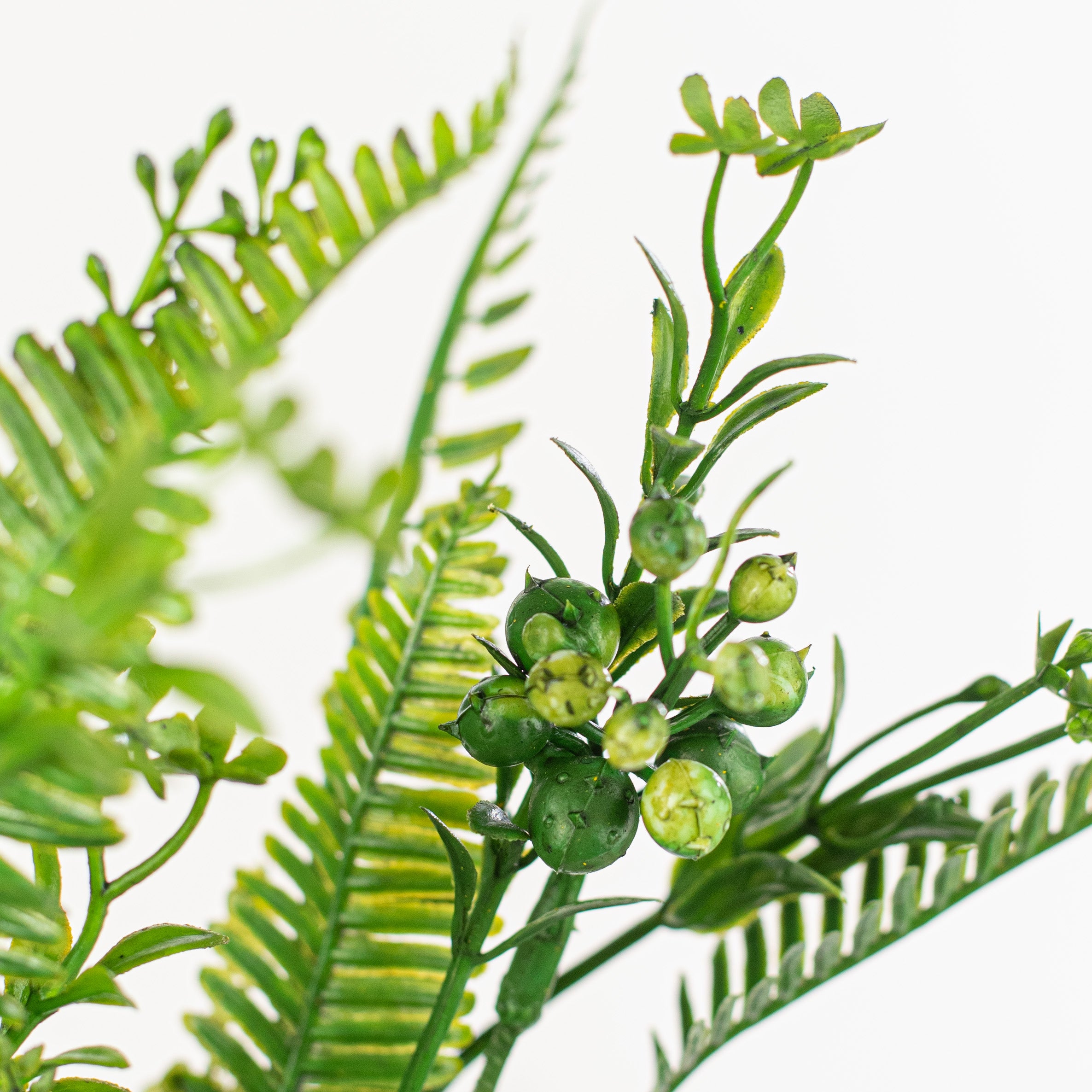 20" Fern Leaves Mix Bush Lifestyle Photo