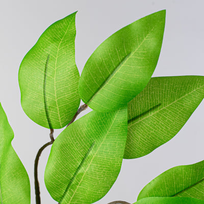 23" Ficus Leaf Spray: Lime Green (12) Lifestyle Photo
