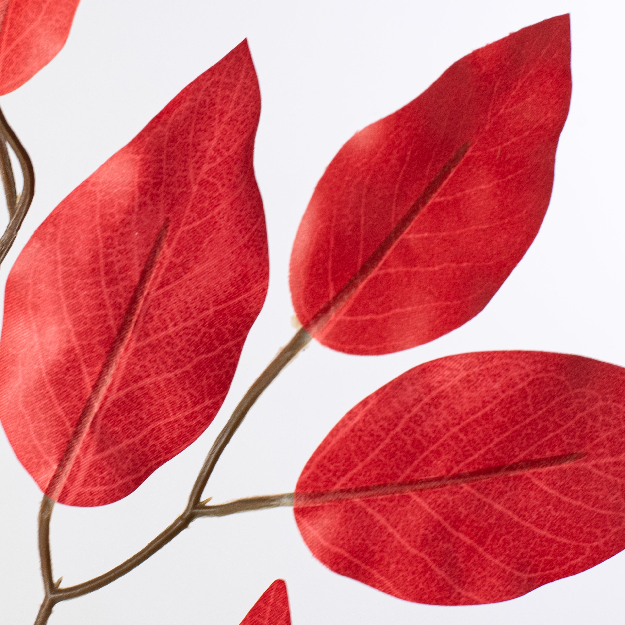 23" Ficus Leaf Spray: Red (12) Lifestyle Photo