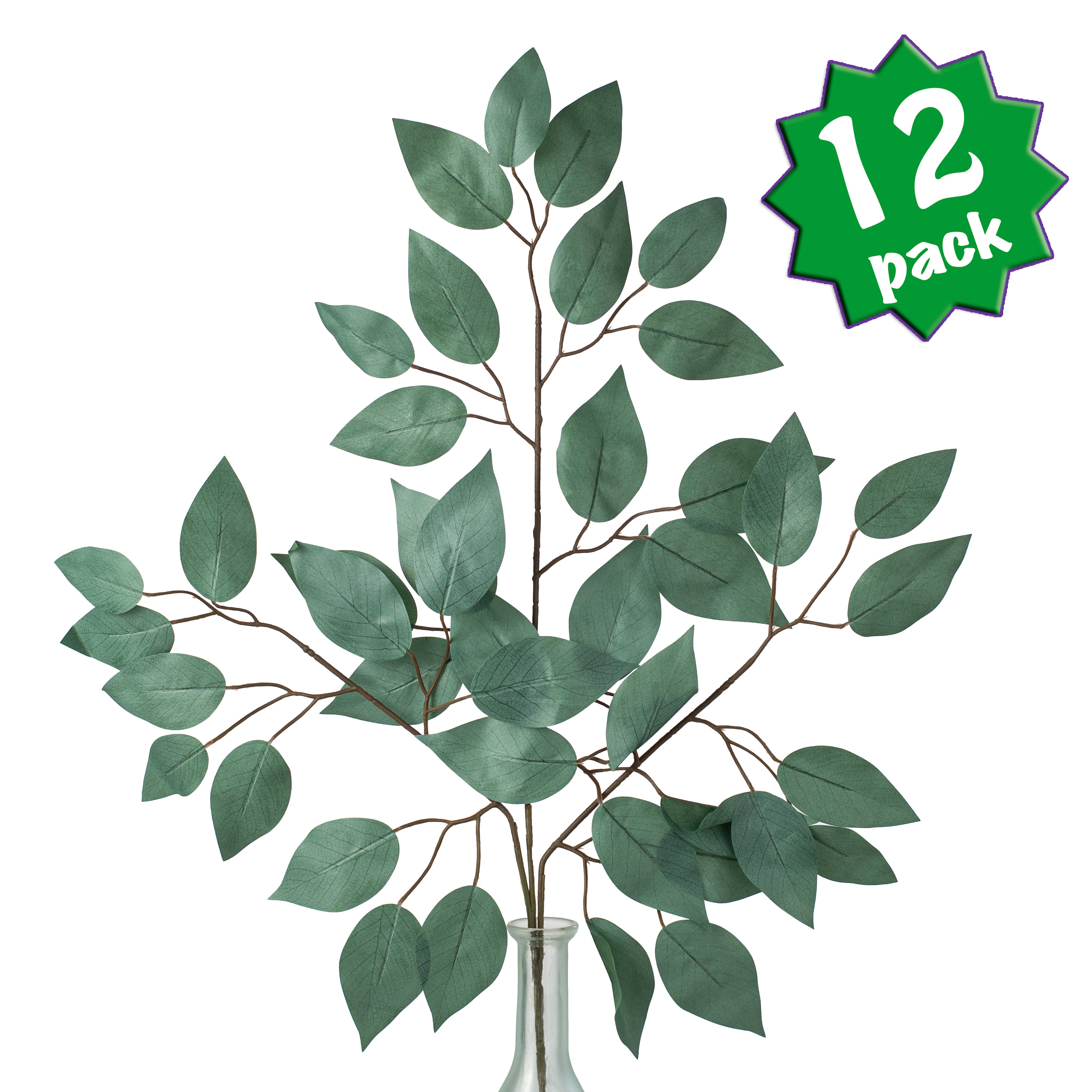 23" Ficus Leaf Spray: Sage Green (12) Item Number: FG633732