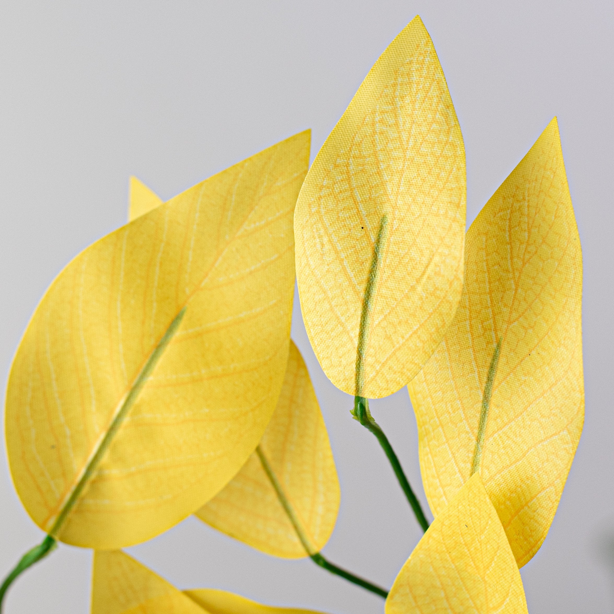 23" Ficus Leaf Spray: Soft Yellow (12) Lifestyle Photo