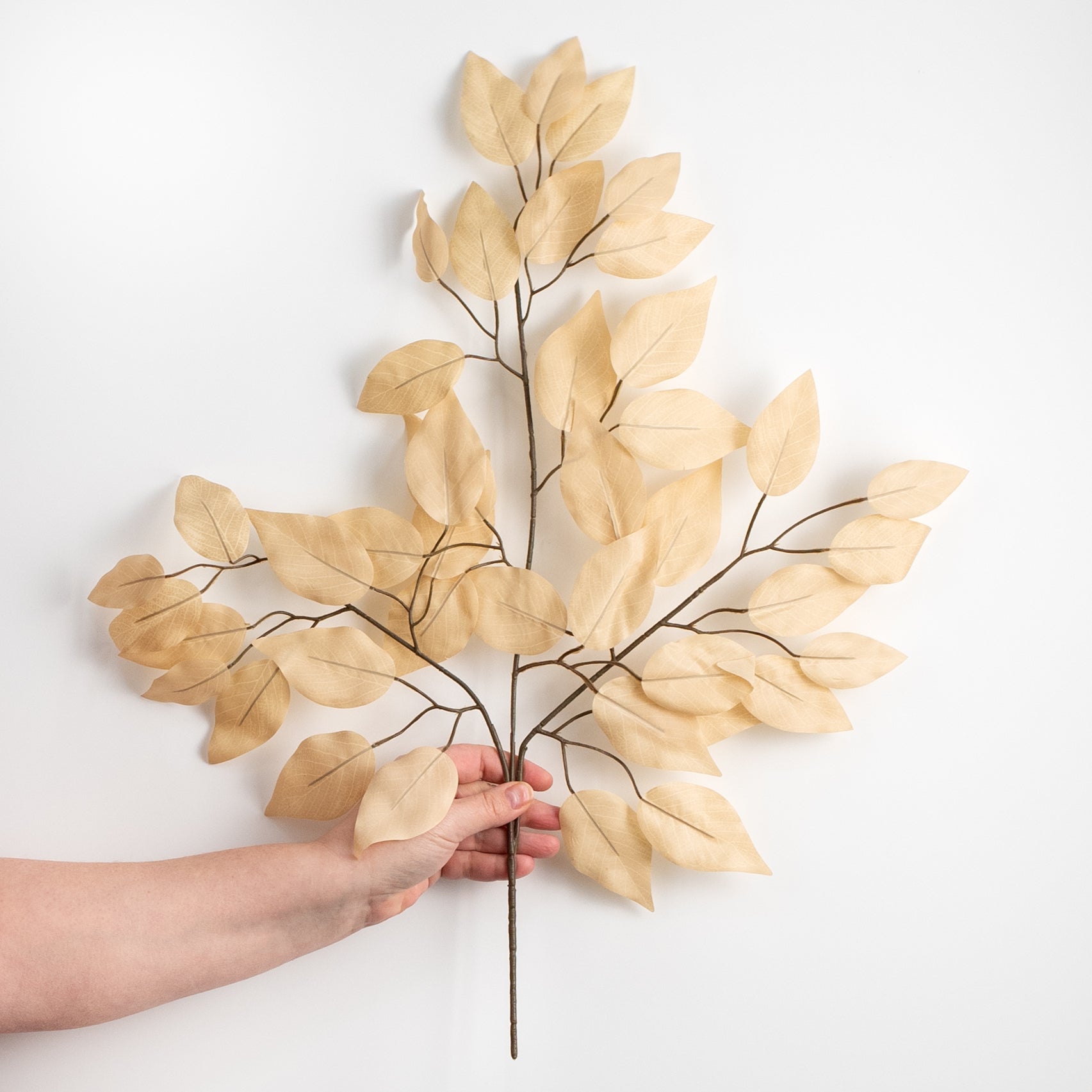 23" Ficus Leaf Spray: Taupe (12) detail photo 3