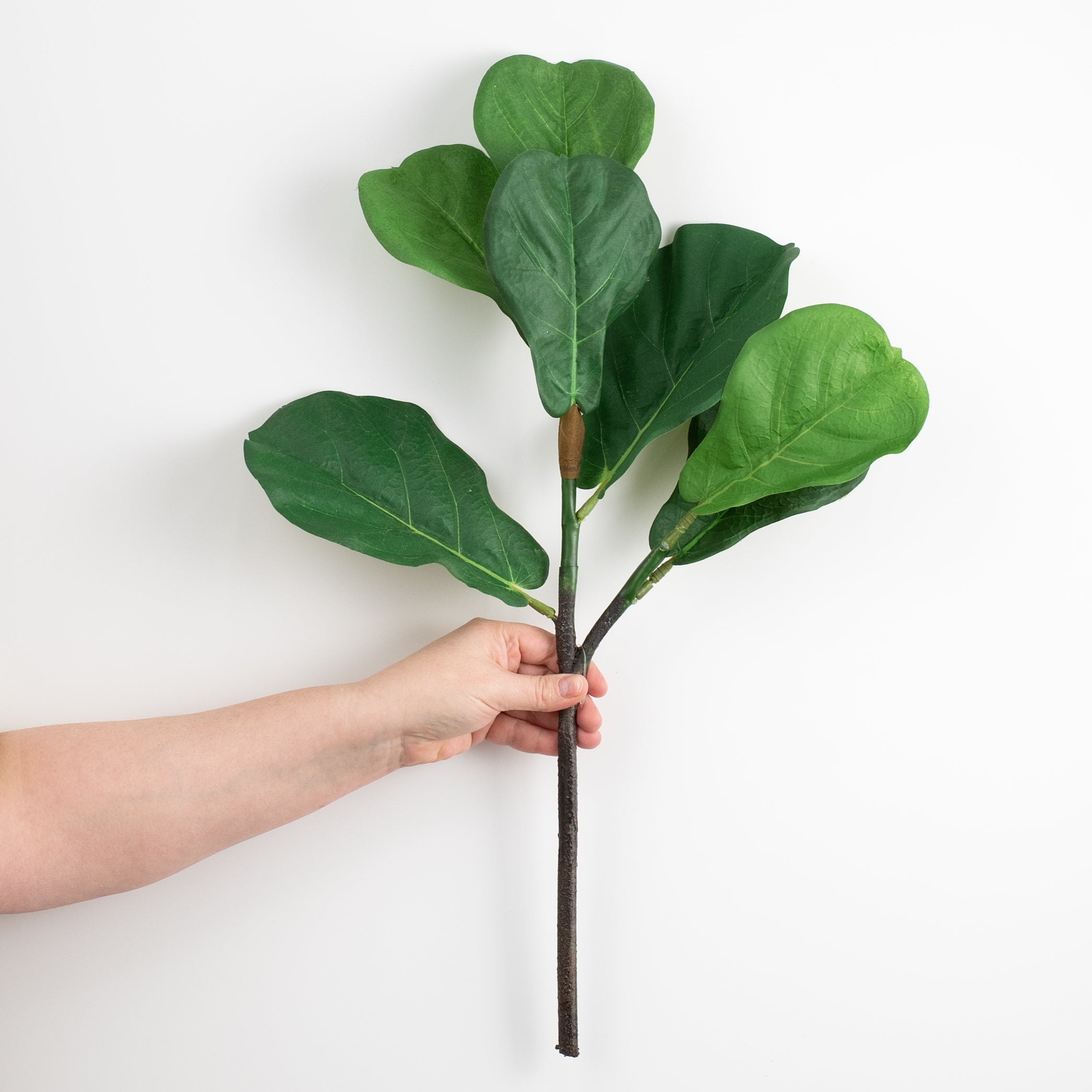 24" Fiddle Leaf Fig Spray detail photo 3