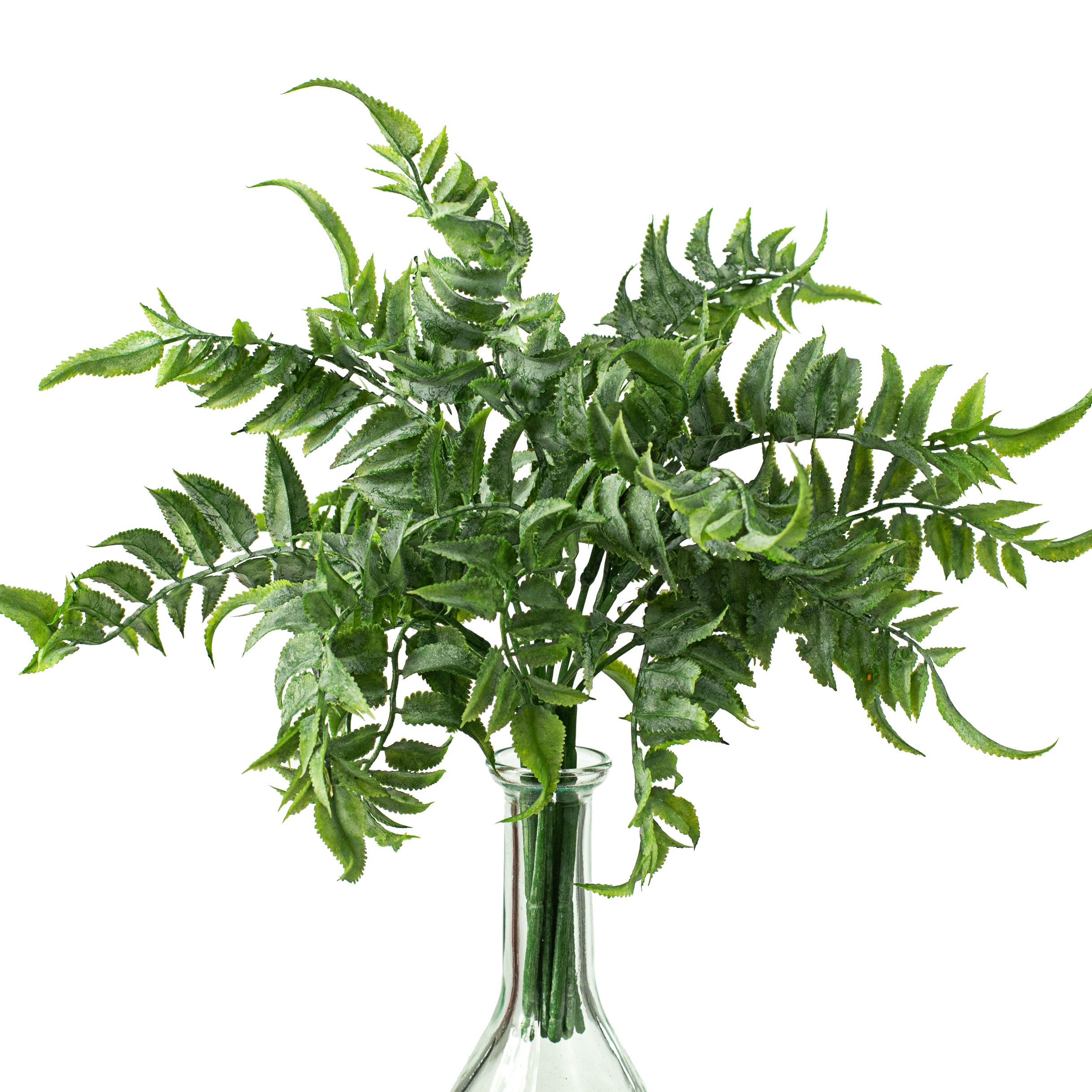 12" Field Fern Bush Item Number: 288148