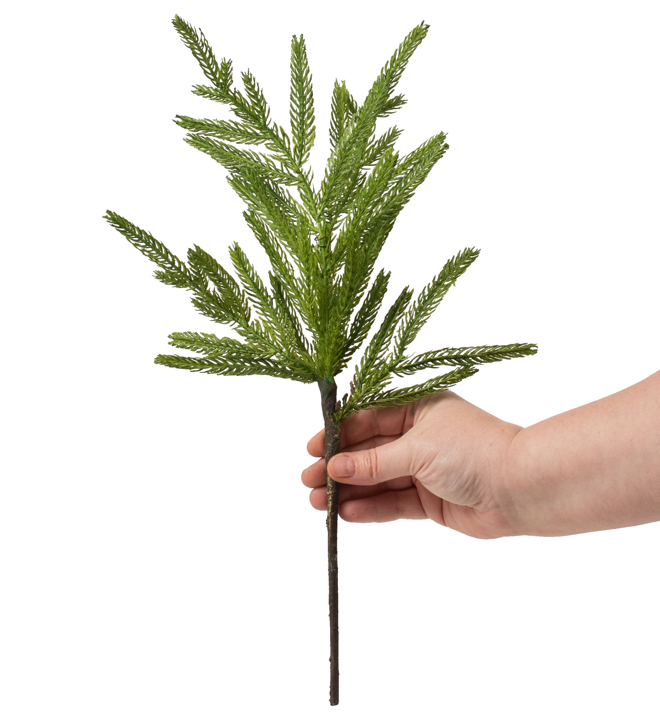 16" Fir Branch Spray Lifestyle Photo