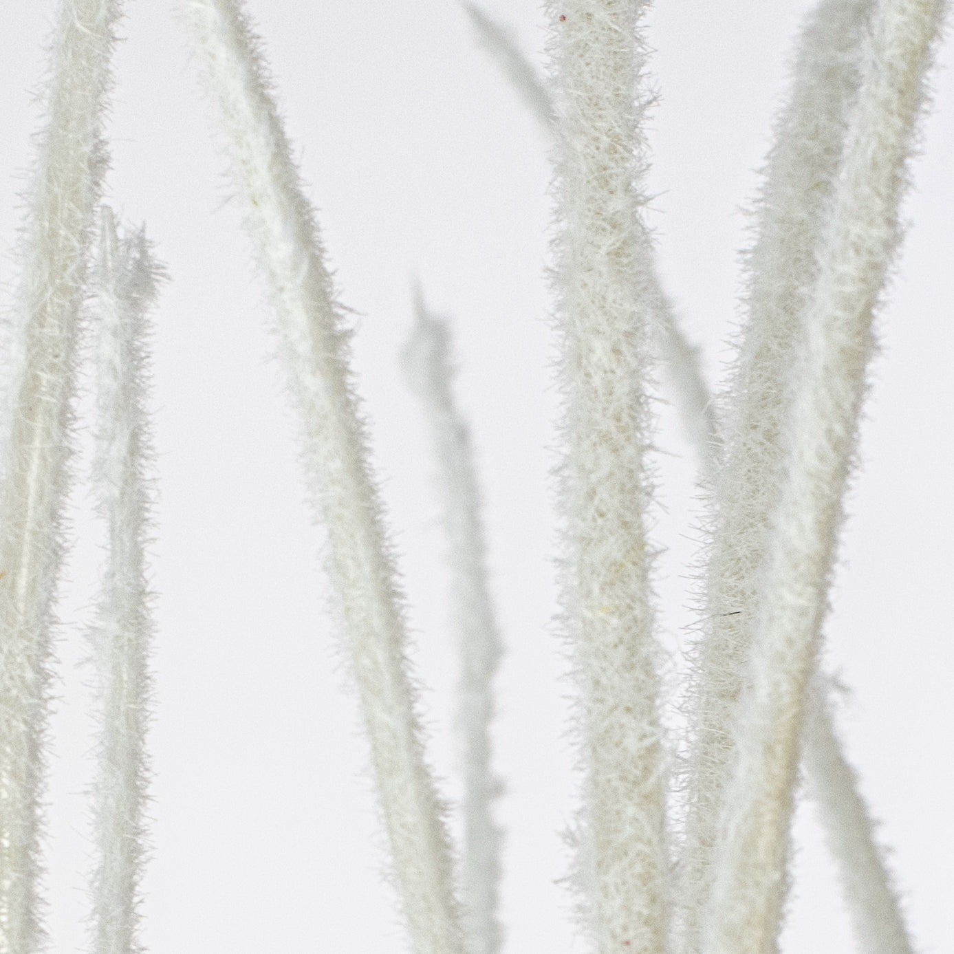 27" Flocked Grass Bush: White Lifestyle Photo