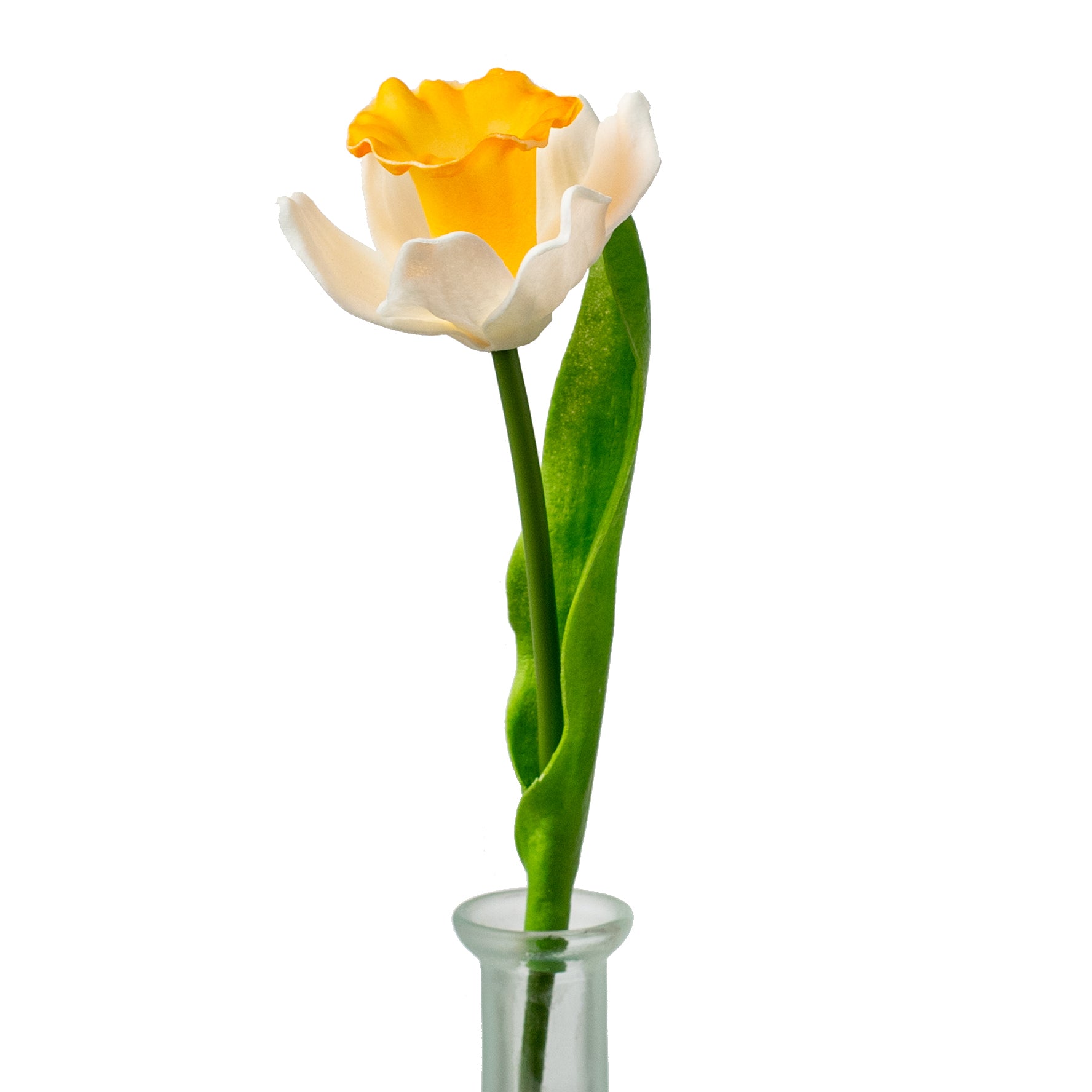 13" Foamy Daffodil With Leaf Item Number: 31135