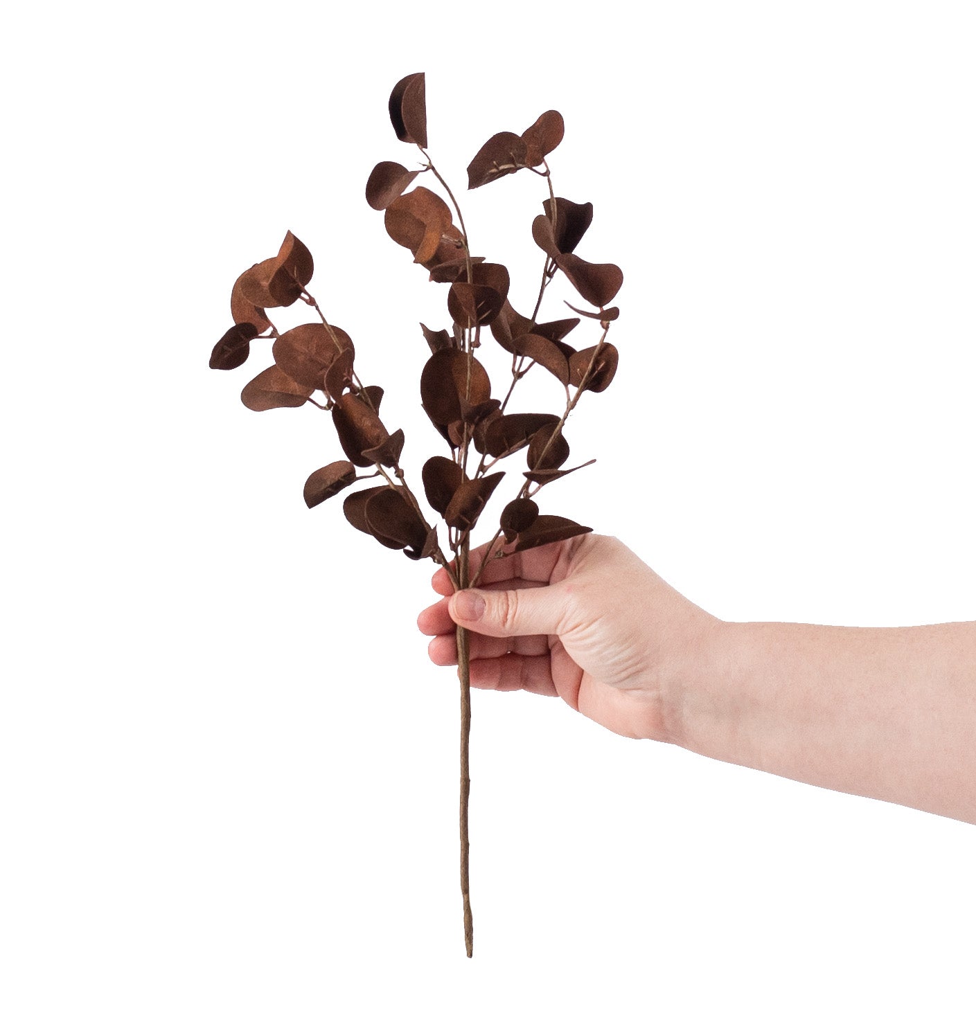 16" Foamy Silver Dollar Leaves Pick: Coffee detail photo 3