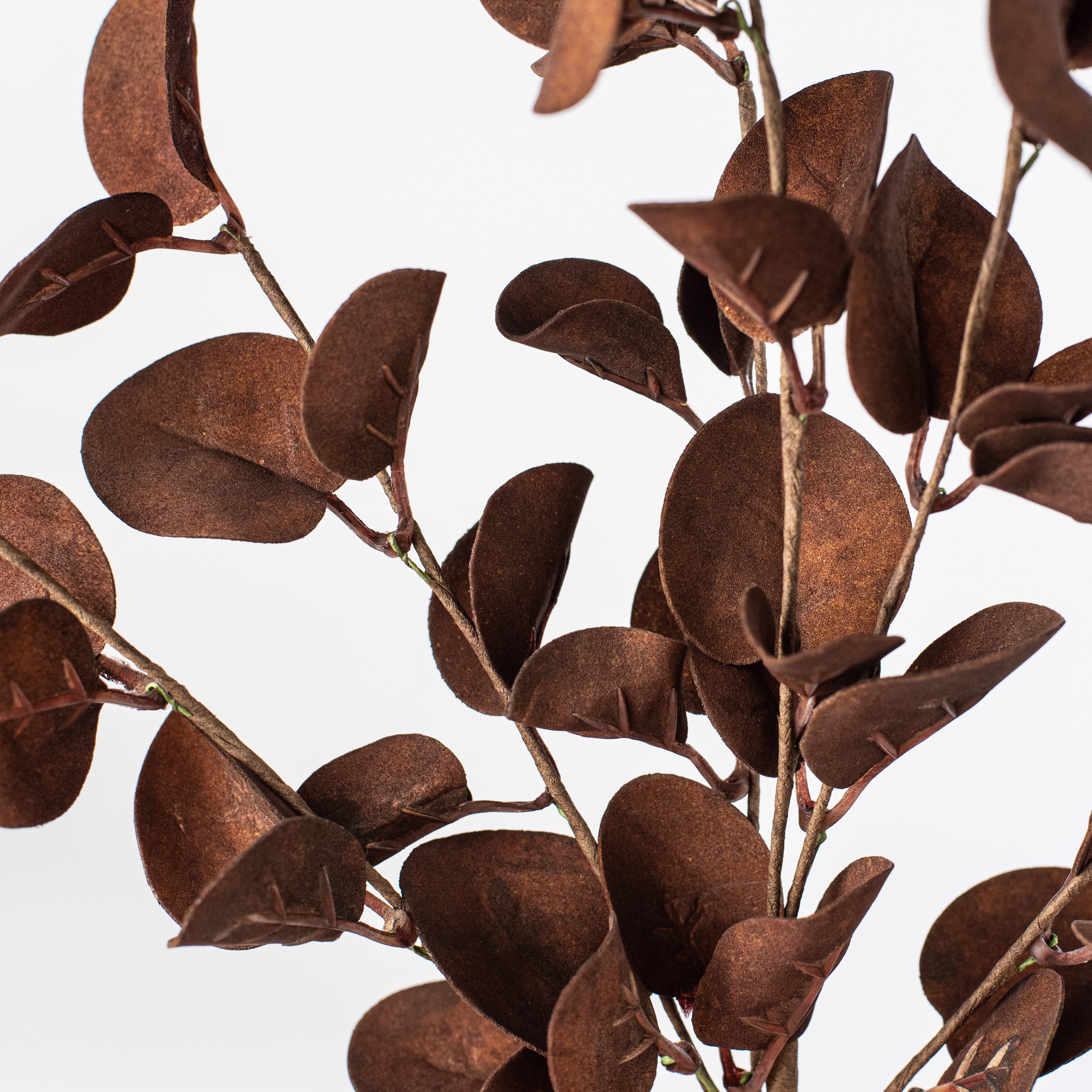 16" Foamy Silver Dollar Leaves Pick: Coffee detail photo 4