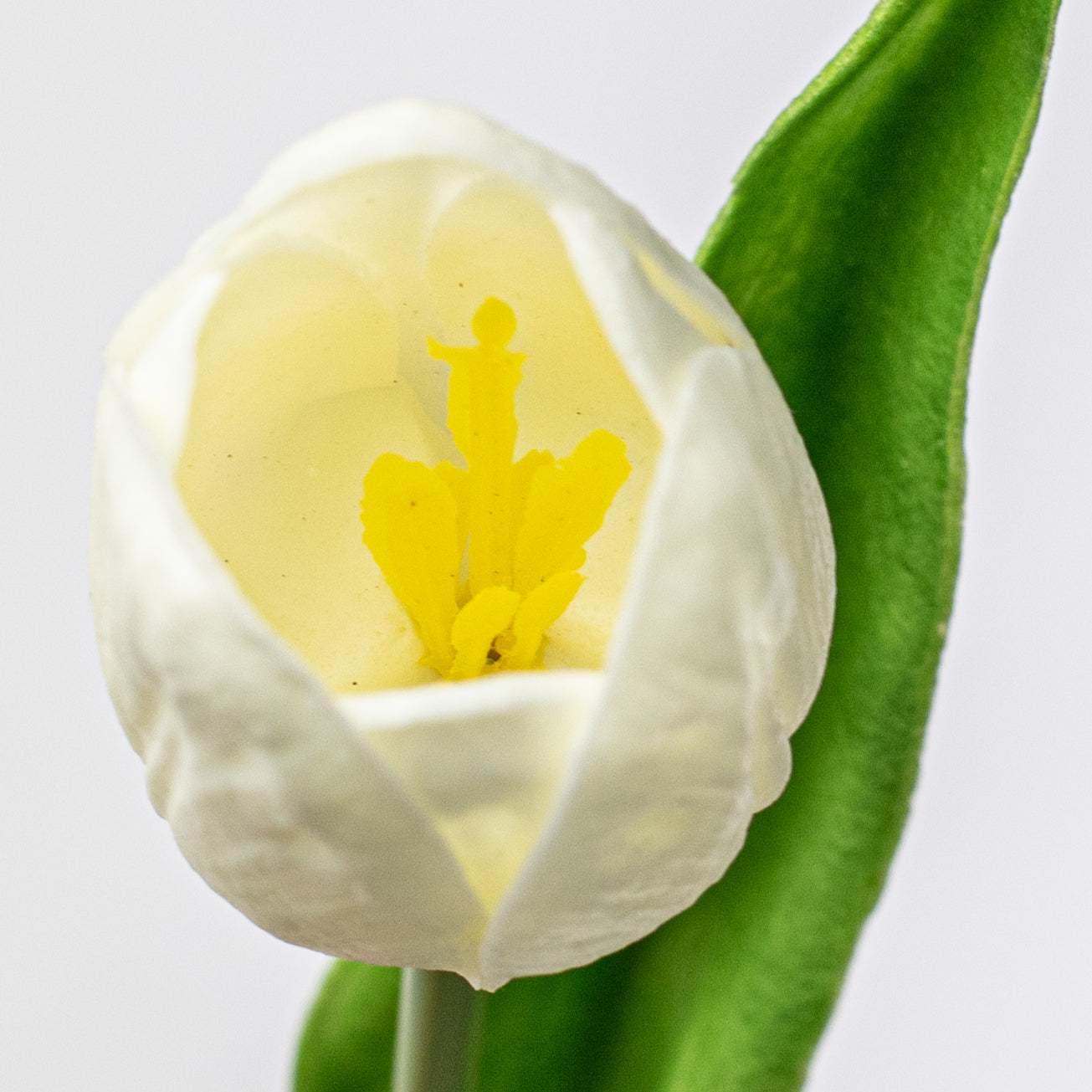 14" Foamy Tulip Bud With Leaf: White Lifestyle Photo