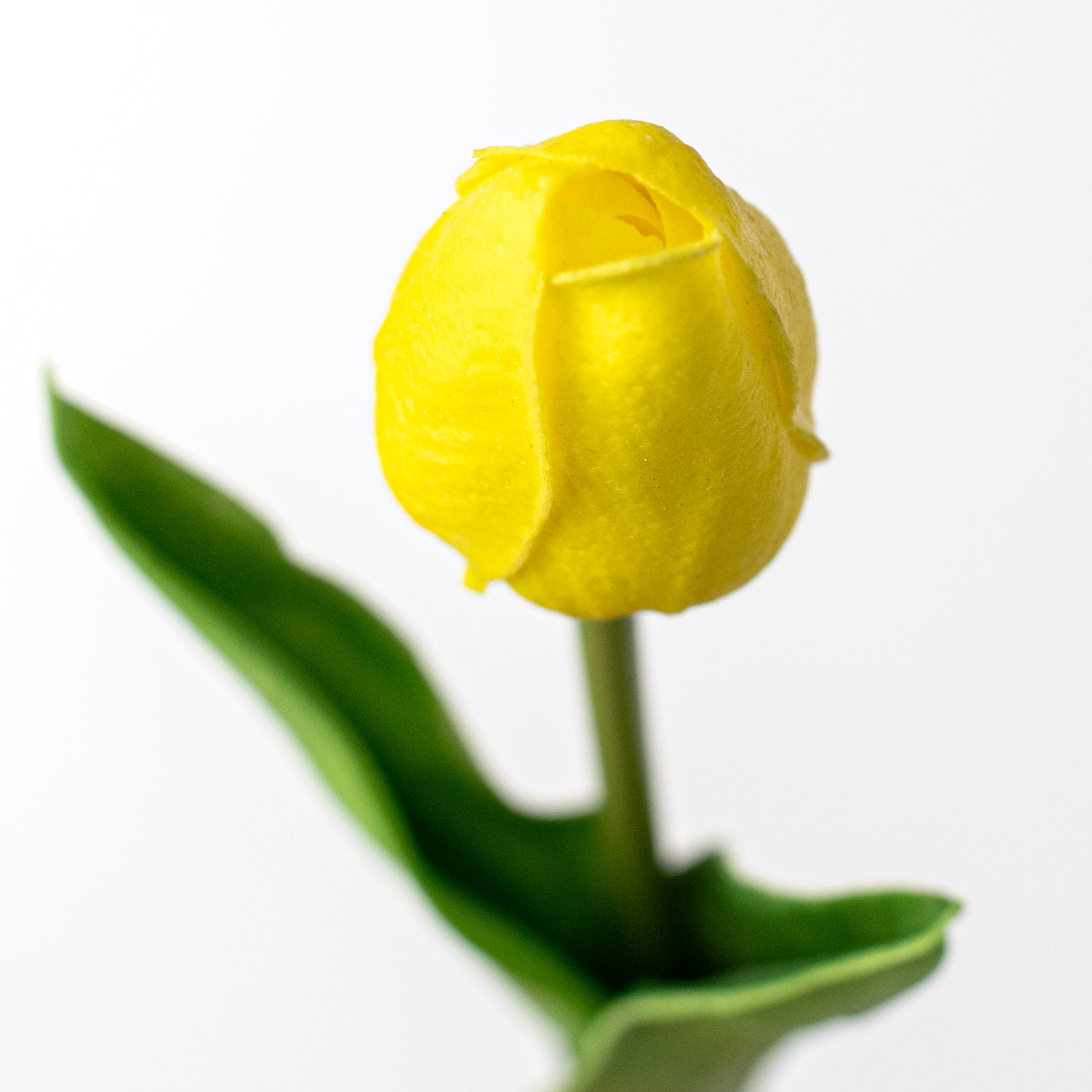 15" Foamy Tulip Bud Stem: Yellow Lifestyle Photo