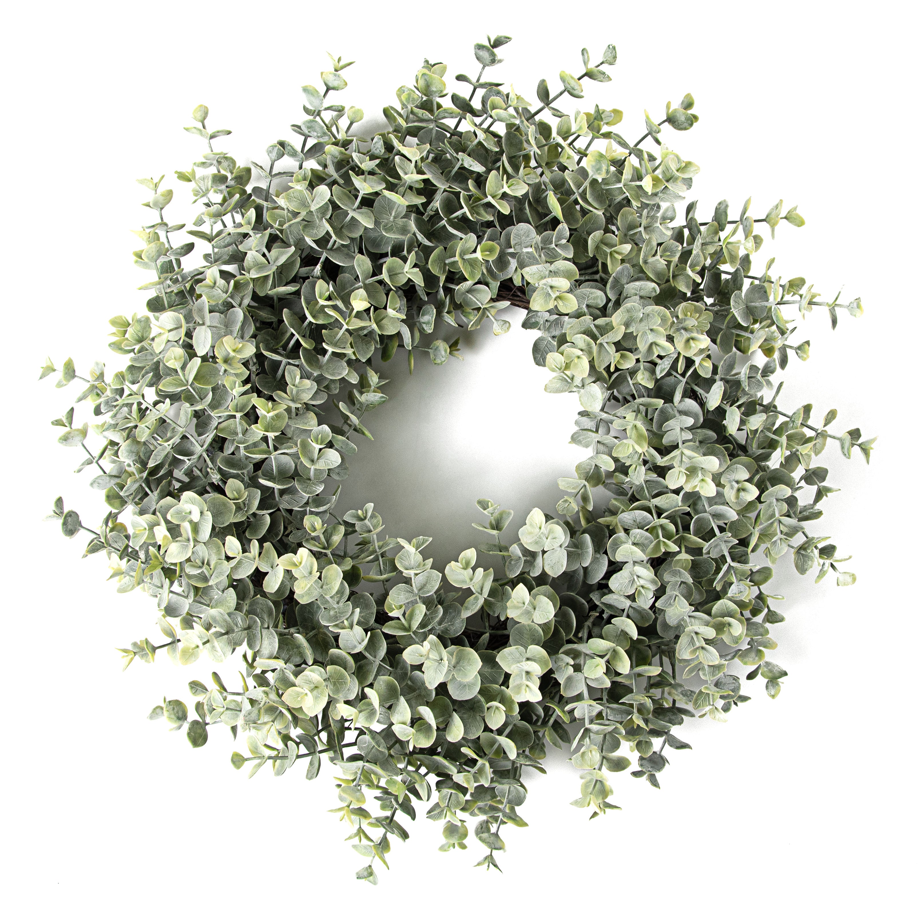20" Frosted Eucalyptus Wreath Item Number: 2390040VG