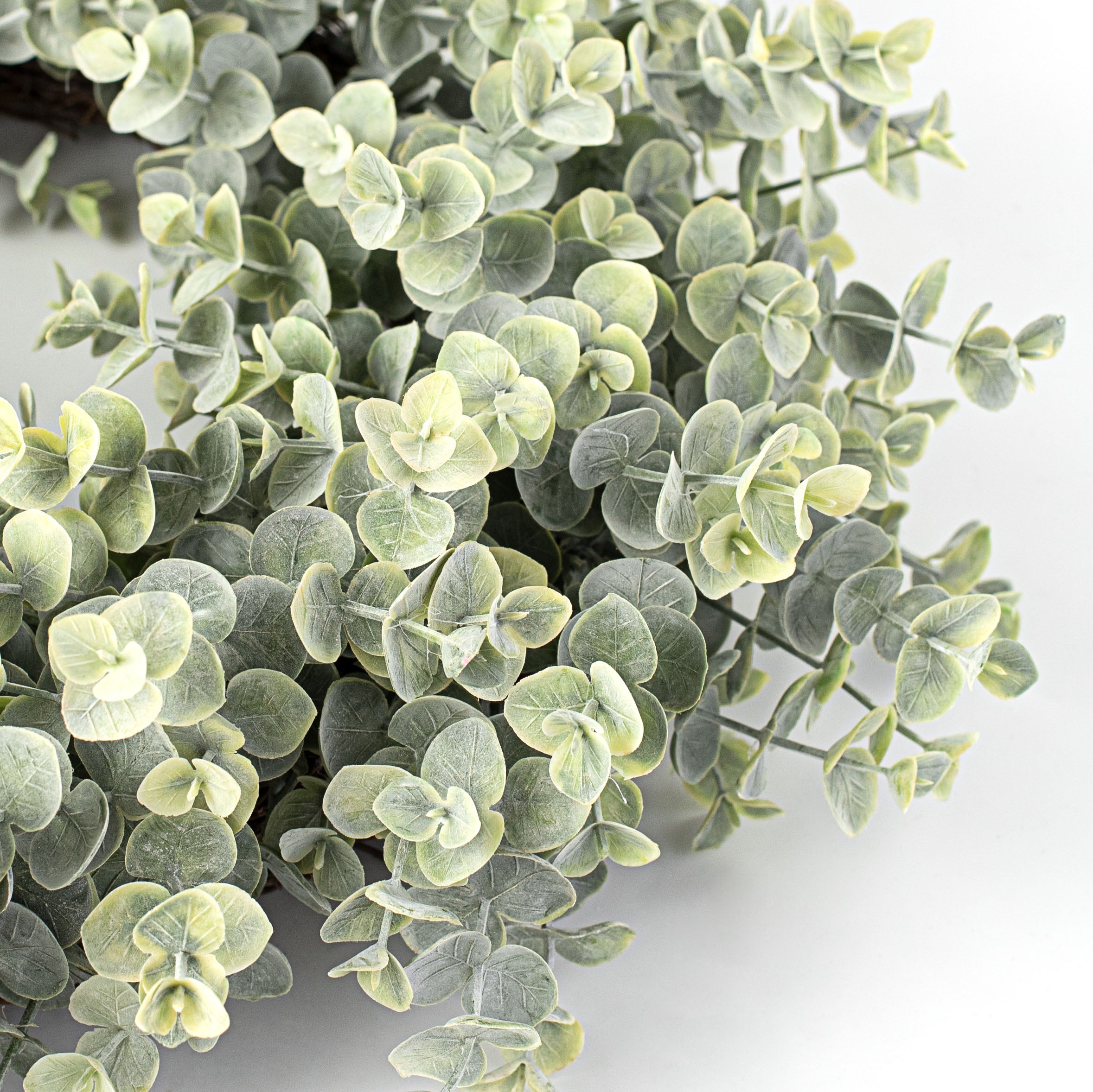 20" Frosted Eucalyptus Wreath detail photo 3