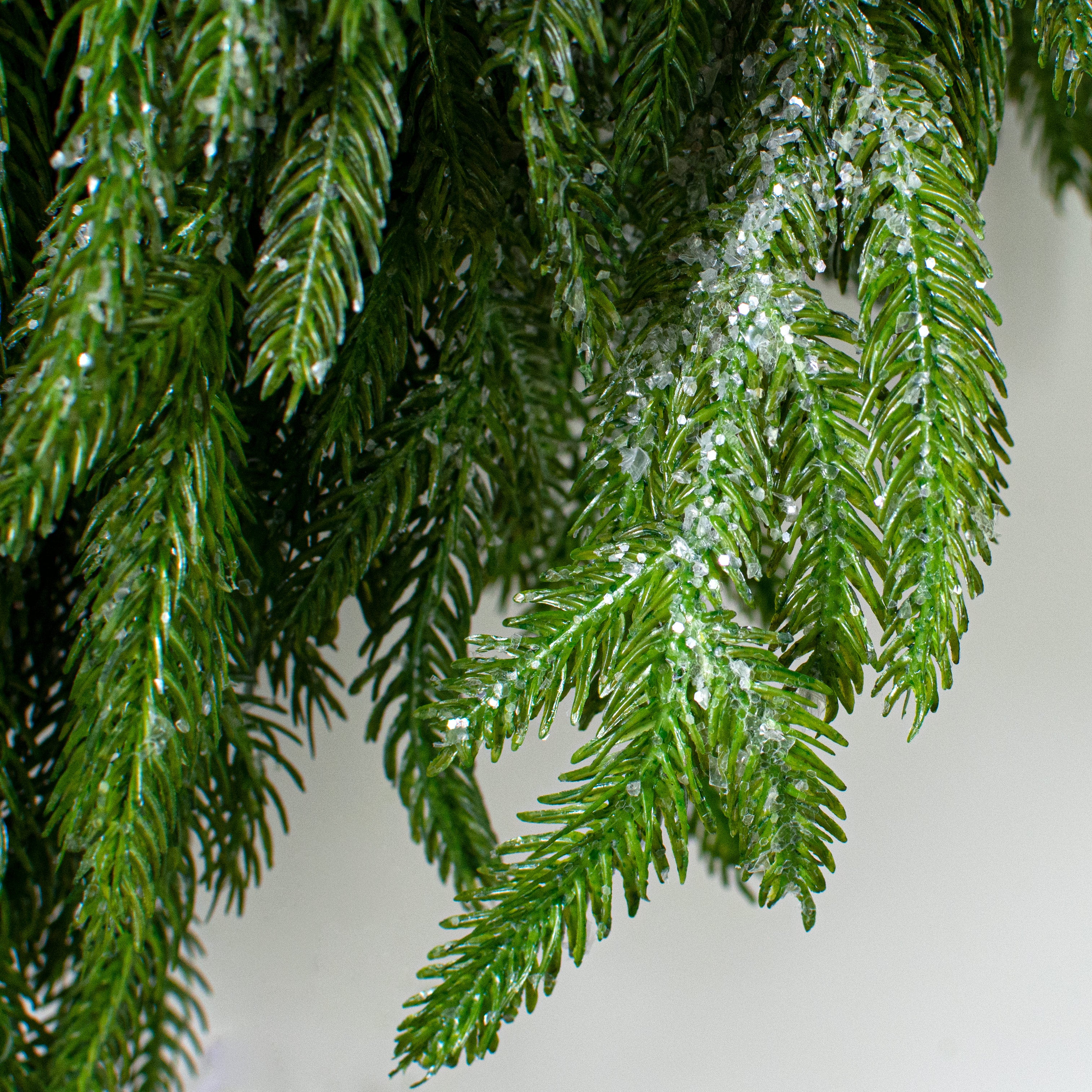 24" Frosted Fir Pine Wreath detail photo 3