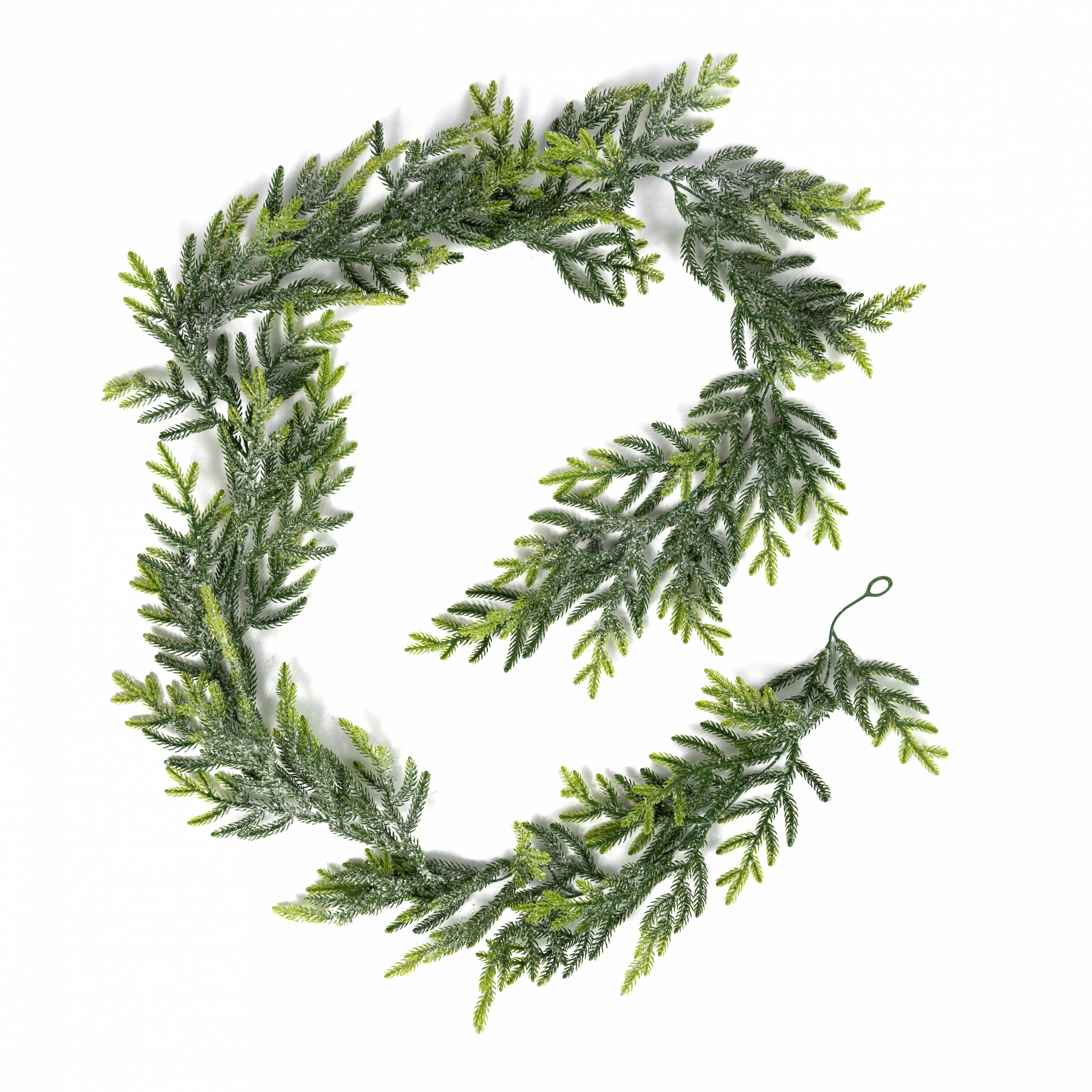 6' Frosted Value Norfolk Pine Garland