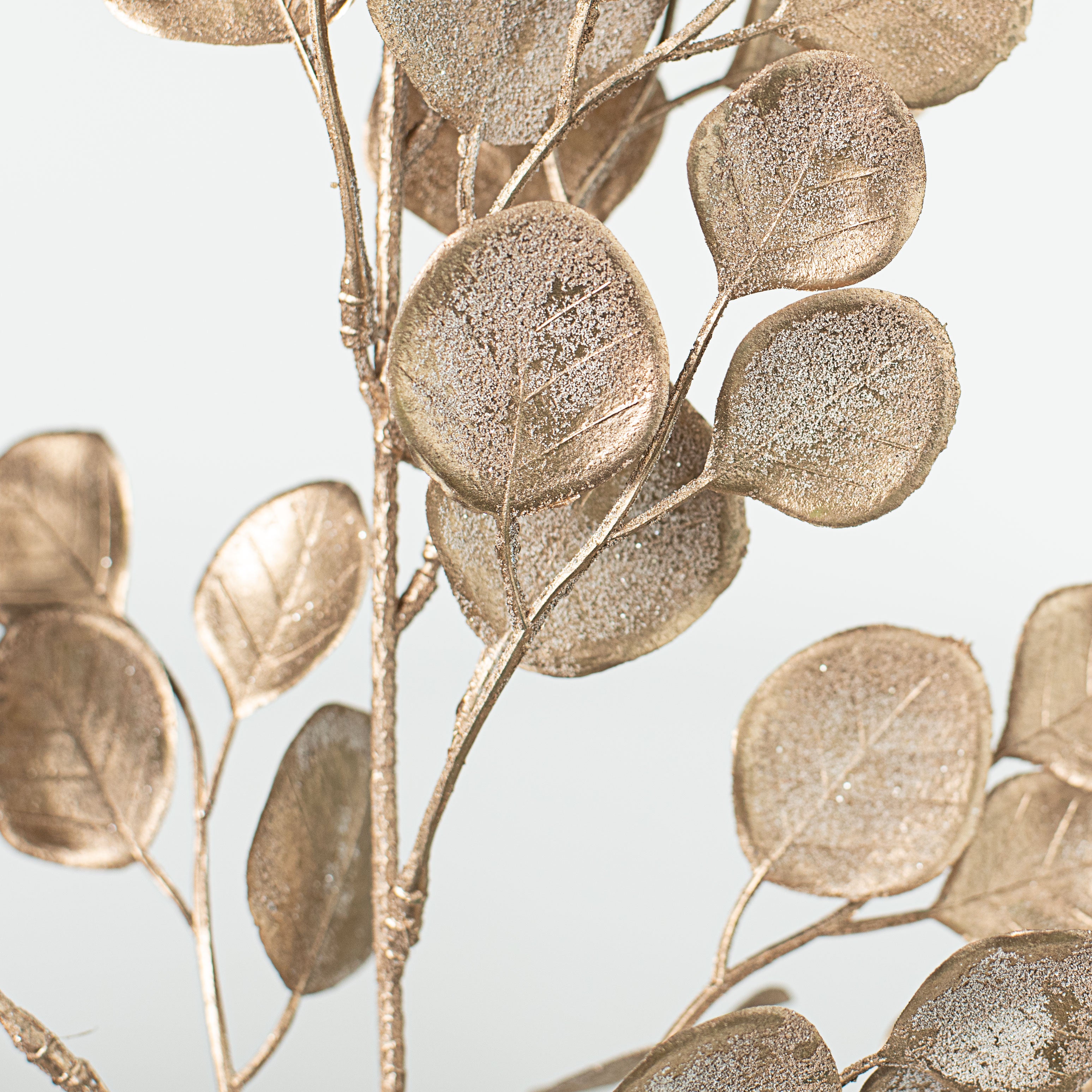 21" Frosty Eucalyptus Spray: Champagne Lifestyle Photo