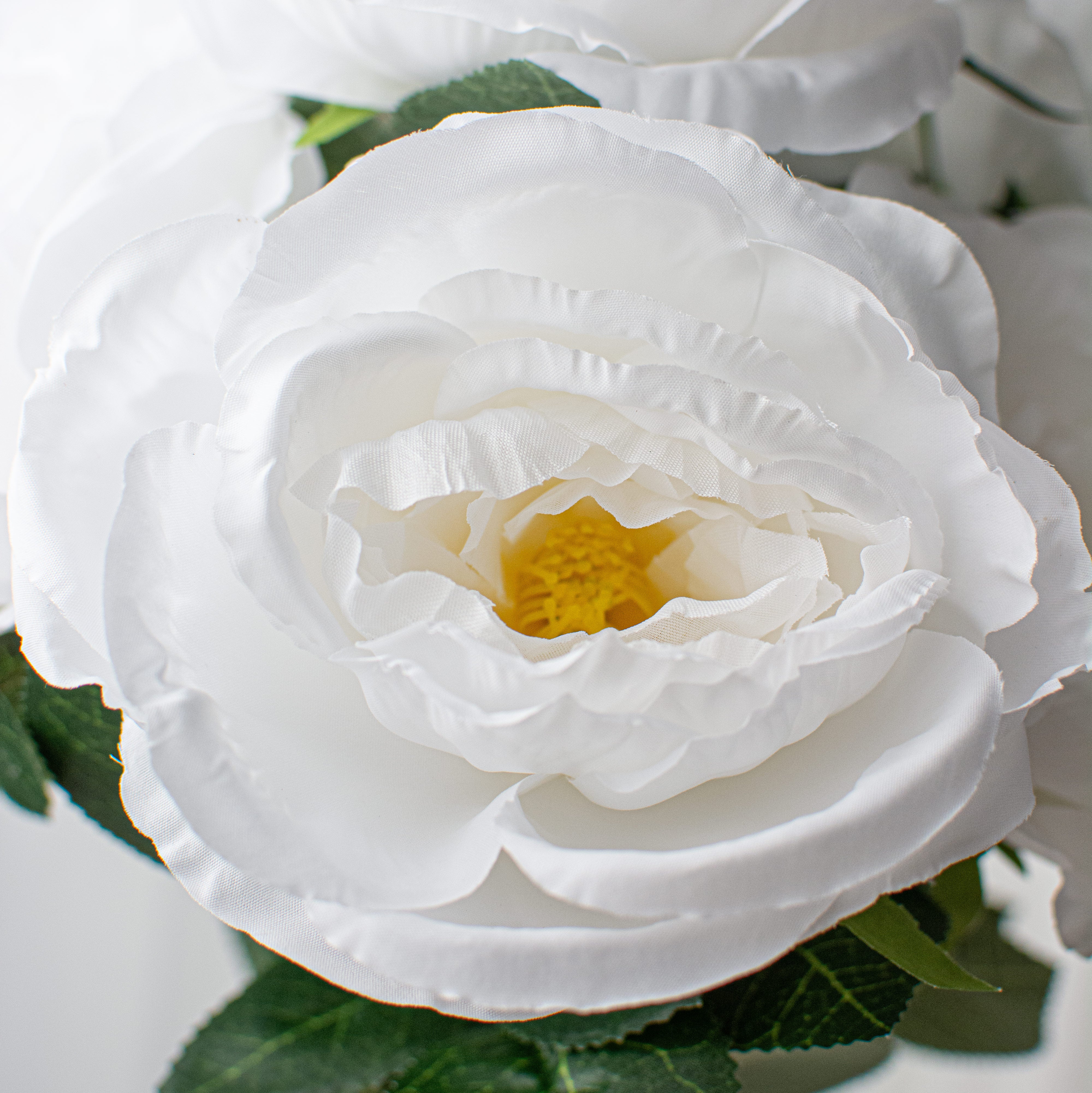 20" Garden Rose Bush: Off White Lifestyle Photo