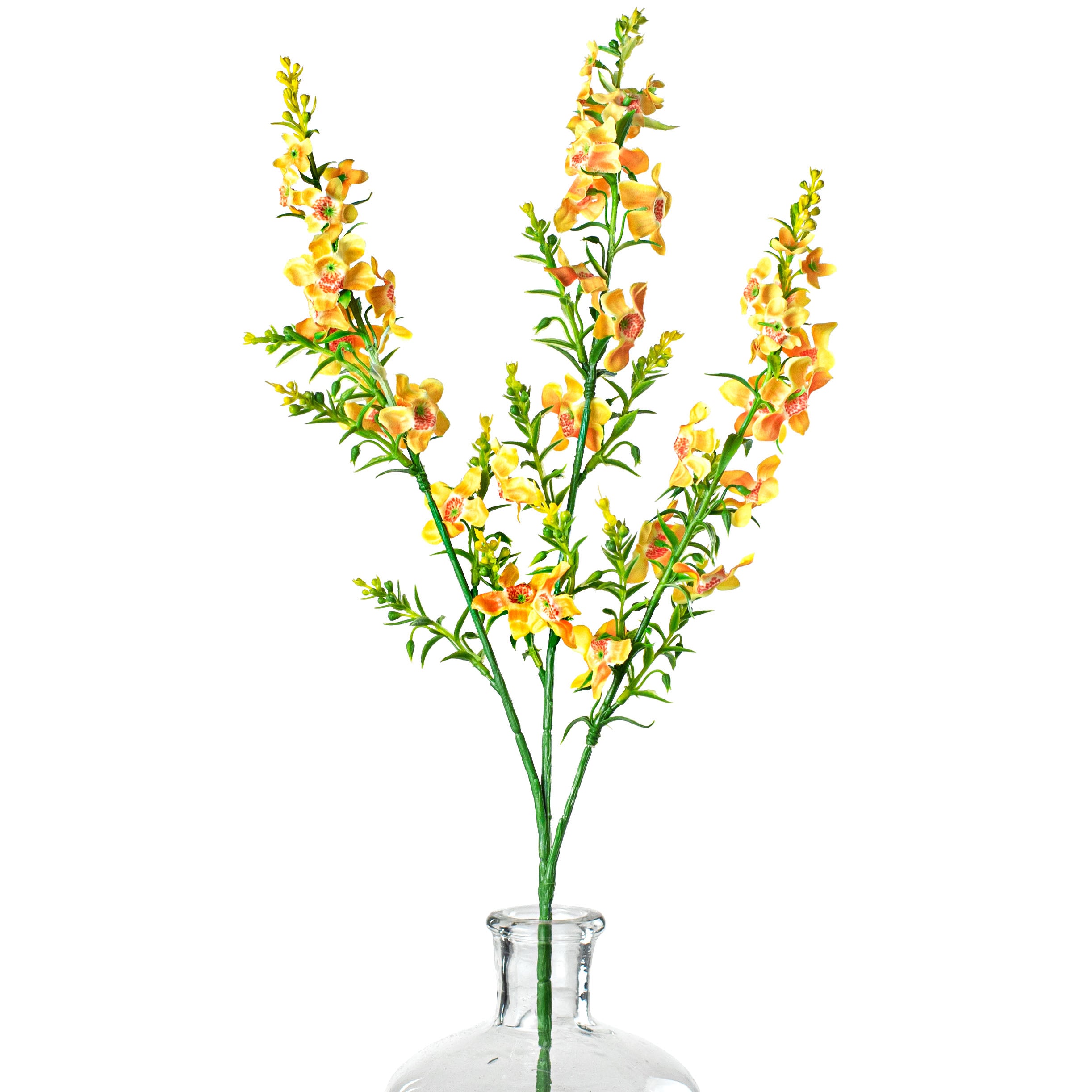 29" Genista Sweet Broom Stem: Yellow Item Number: 147631