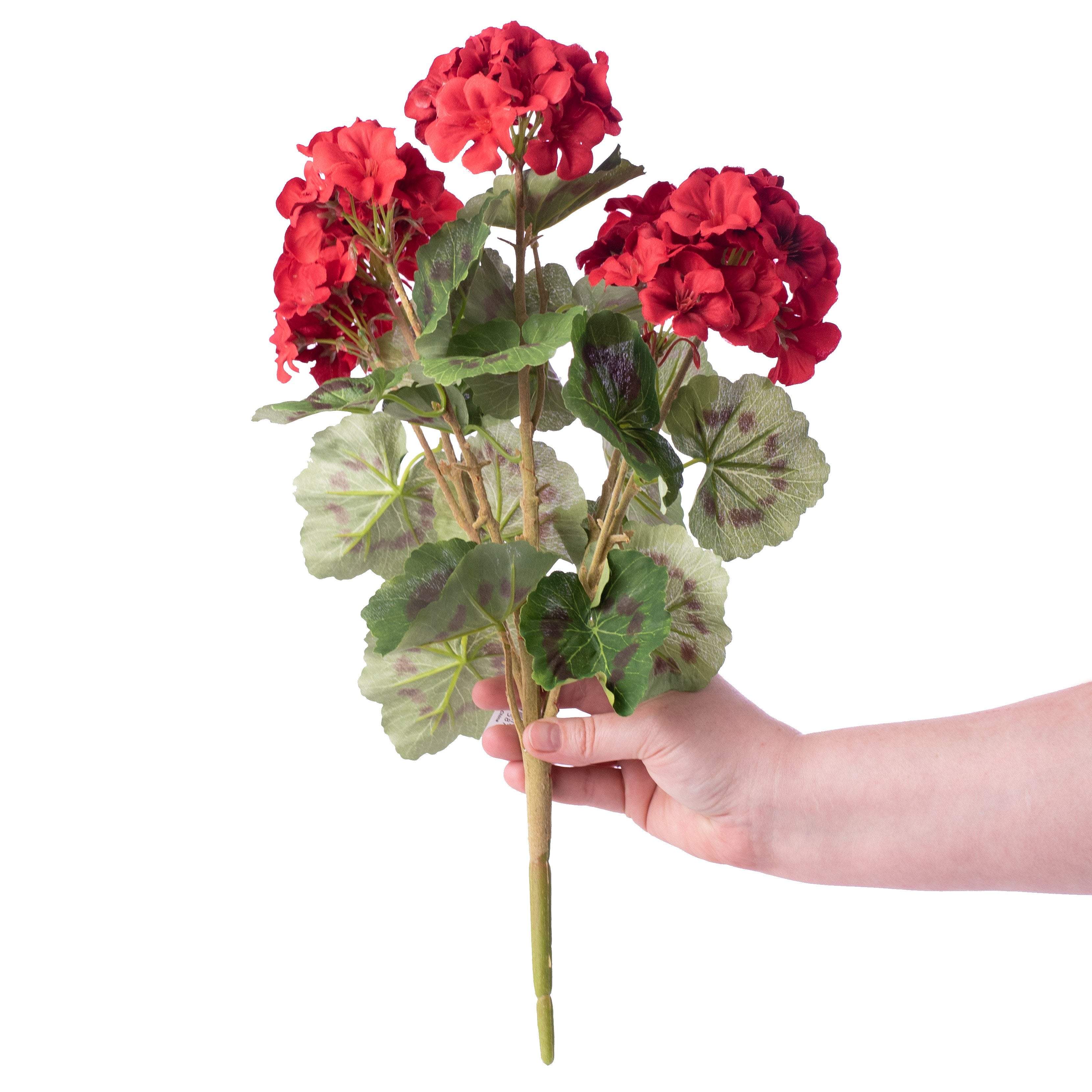 18" Geranium Bush: Red detail photo 3