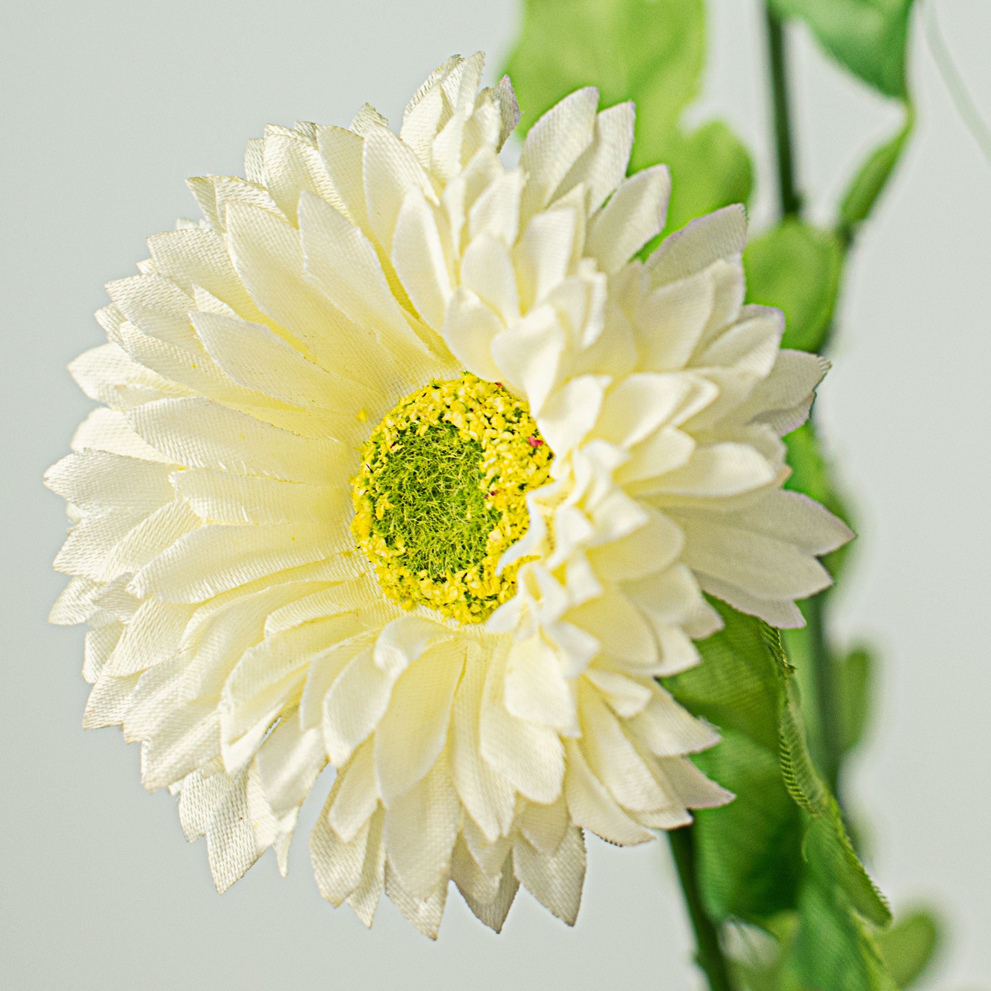 23" Gerber Daisies Spray: Cream Lifestyle Photo