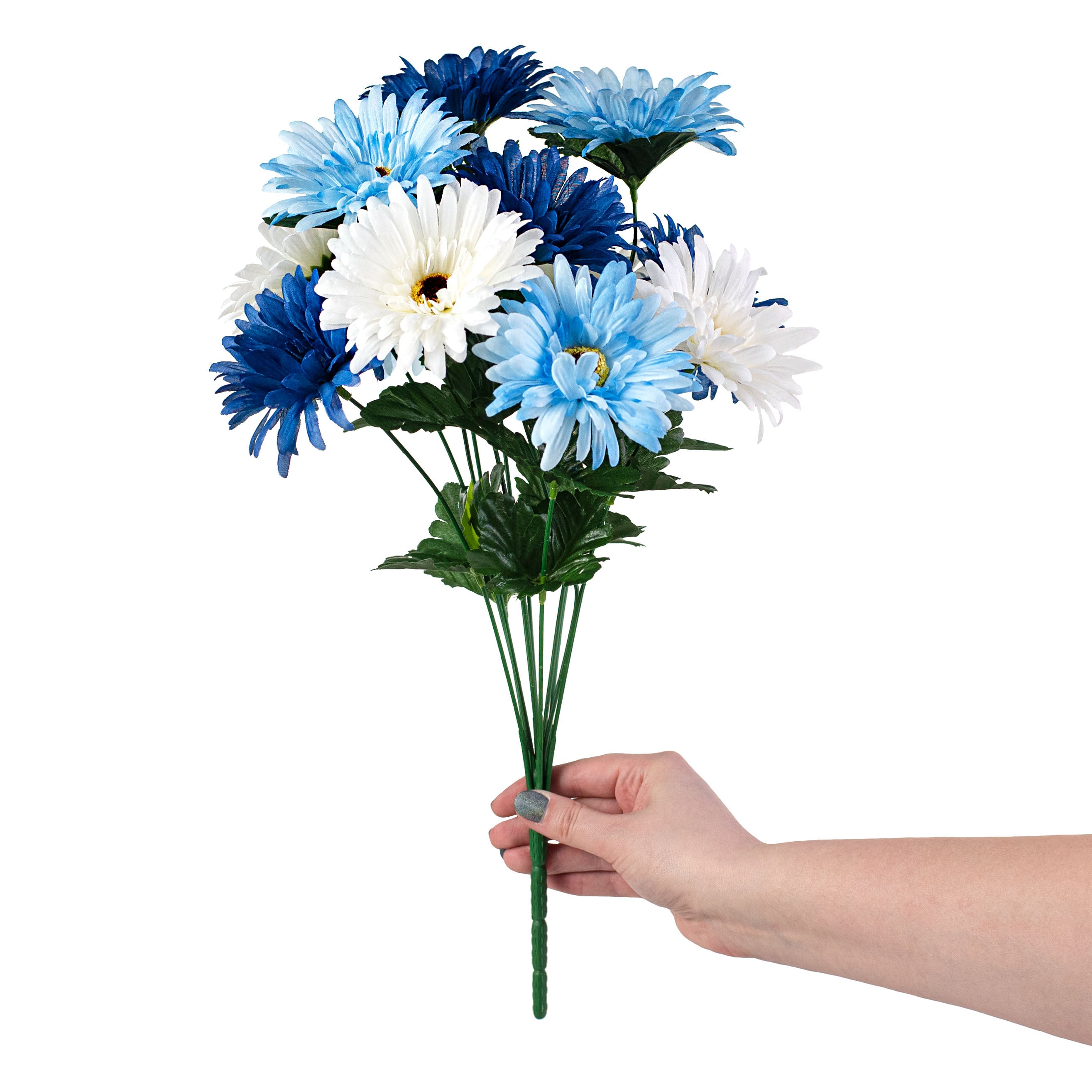 18" Gerbera Daisy Bush: Blue & Cream (12 Stem) detail photo 3