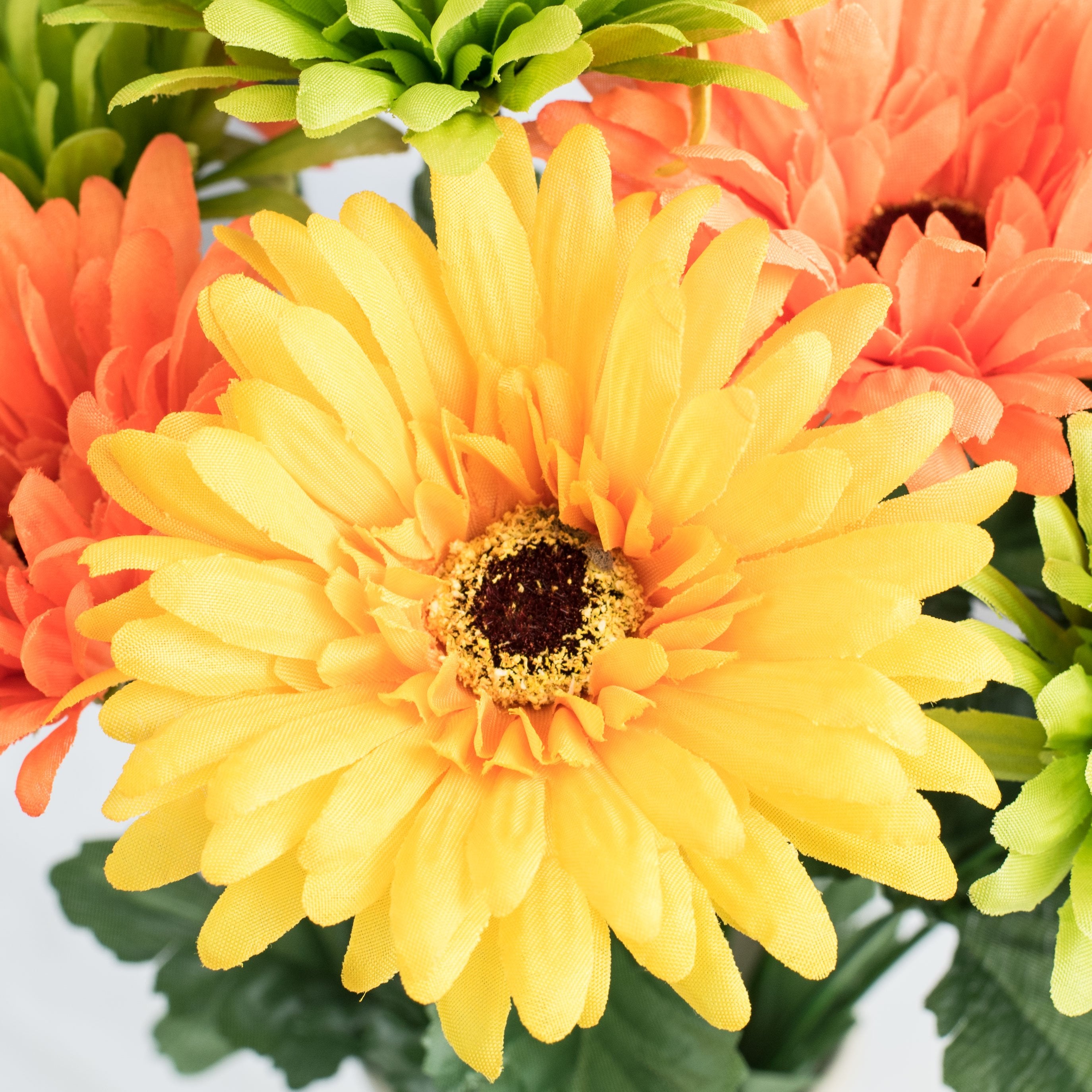 18" Gerbera Daisy Bush: Citrus (12 Stem) detail photo 3