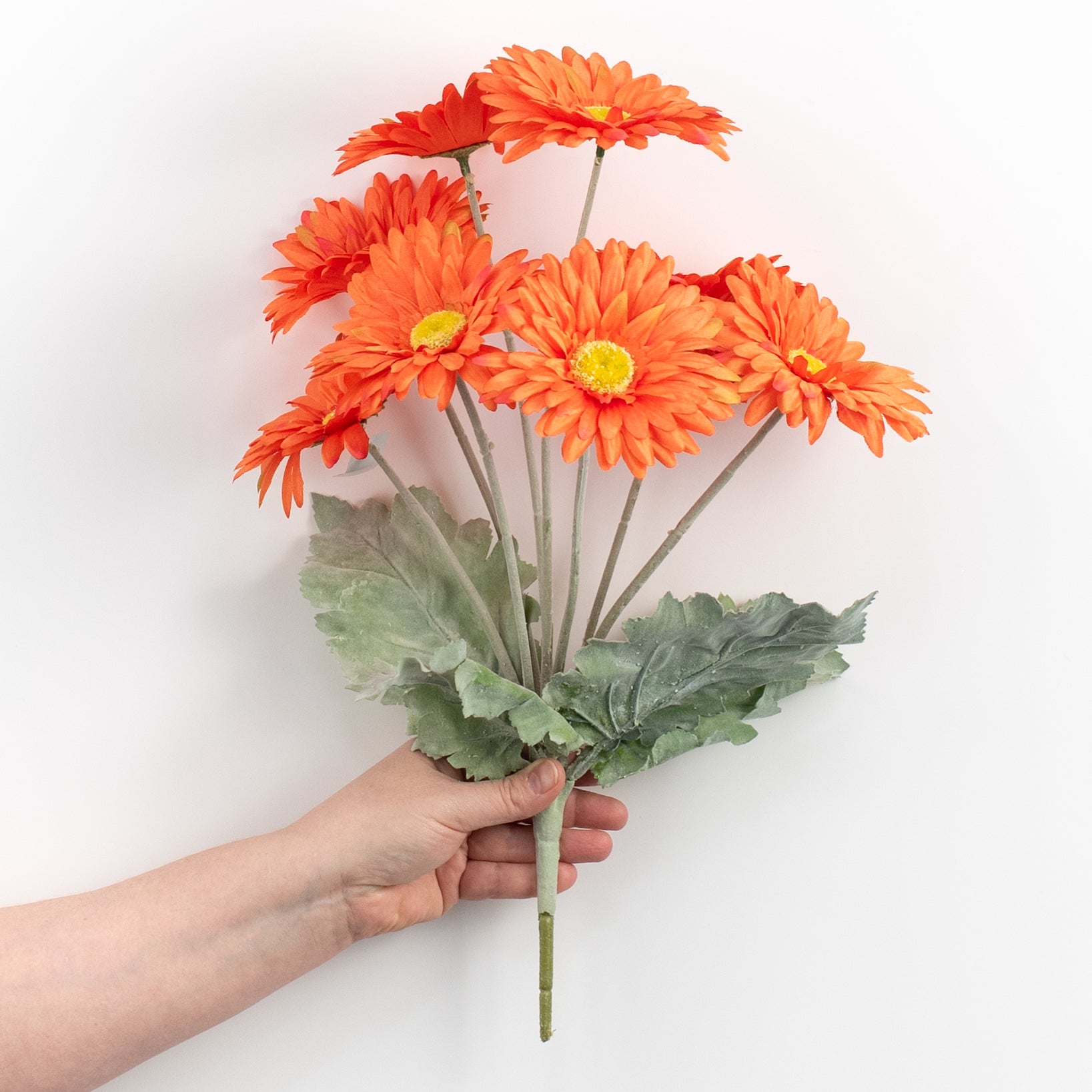 17" Gerbera Daisy Bush: Orange detail photo 3