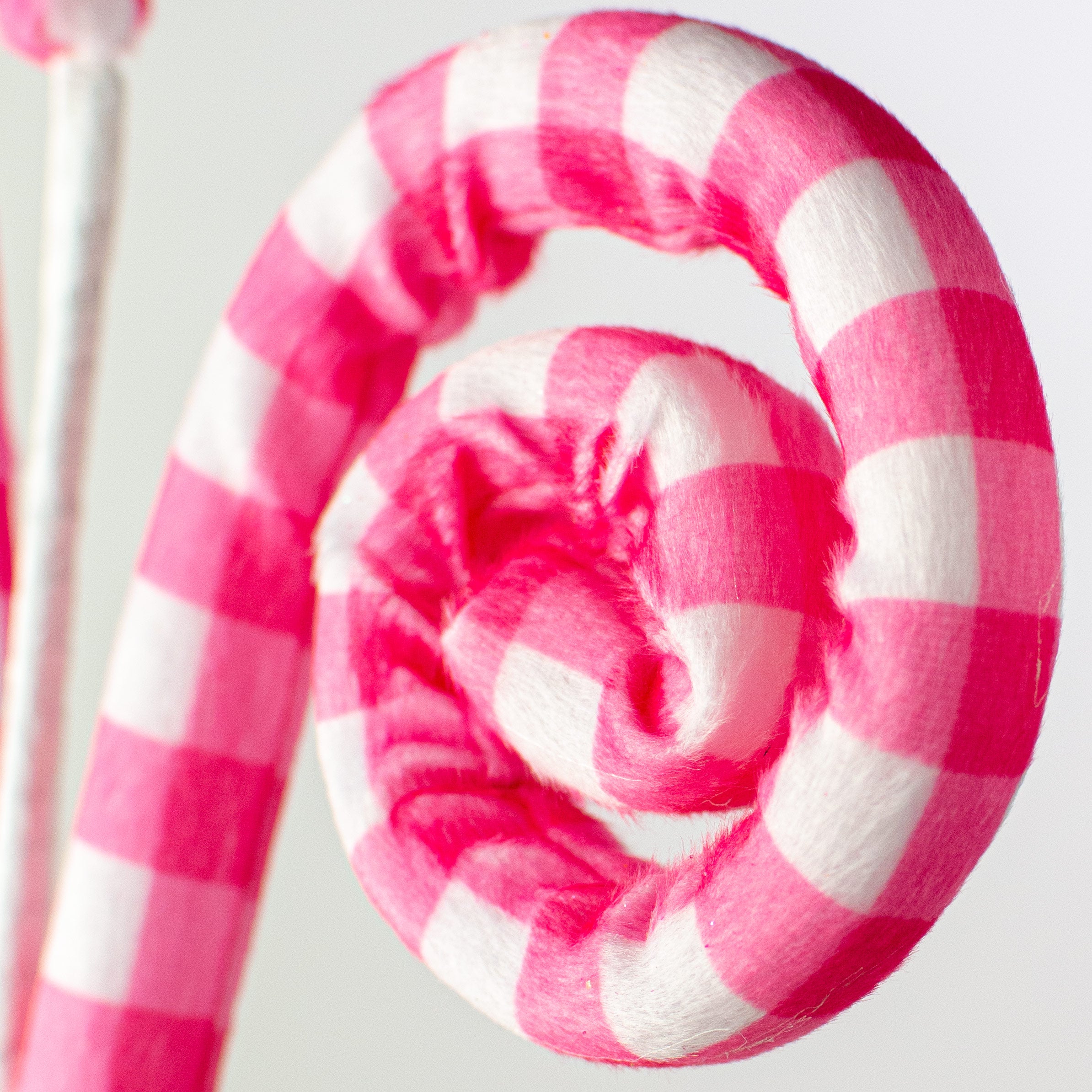 28" Gingham Curly Spray: Fuchsia Pink Lifestyle Photo