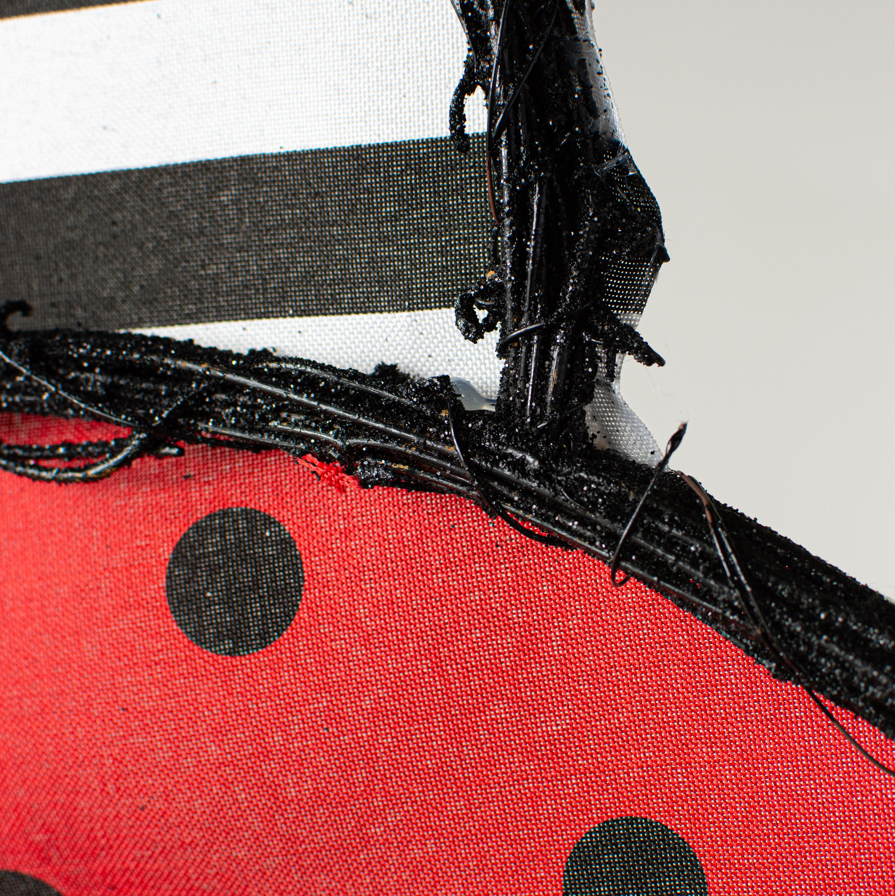 21" Grapevine Hanger: Stripe & Polka Dot Ladybug detail photo 3